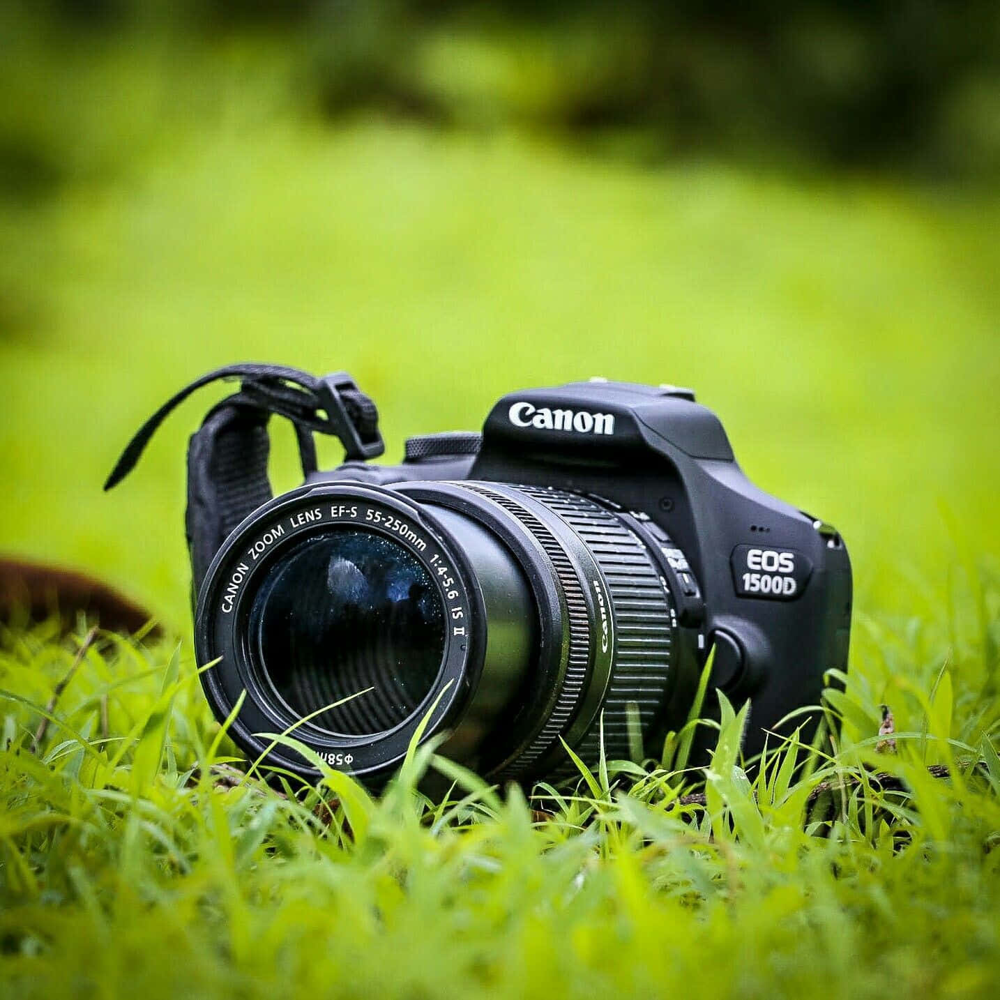 相機 桌布 壁紙 — 一台黑色Canon EOS 1500D DSLR相機配備55-250mm鏡頭，放置在柔和的自然光下鮮綠色的草地上。