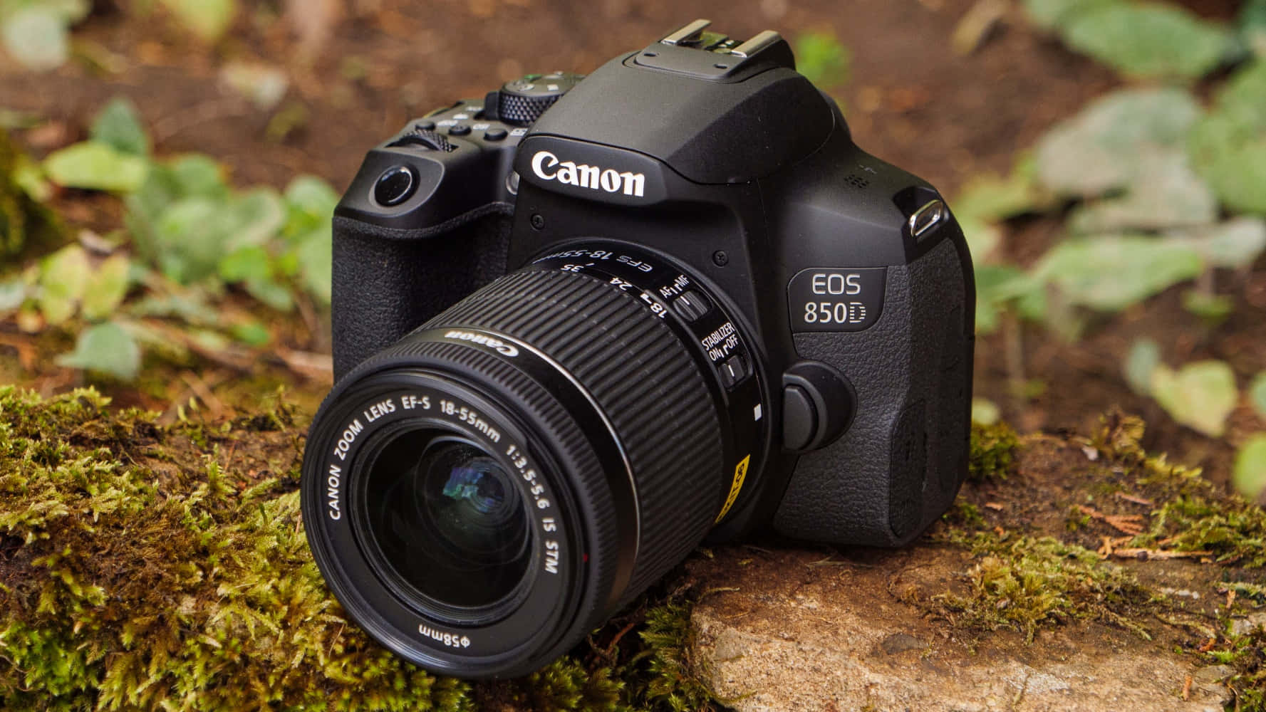 相機 桌布 壁紙 — 一台黑色Canon EOS 850D DSLR相機配備18-55mm鏡頭，放置在長滿苔蘚的石頭上，周圍是森林地面的樹葉。