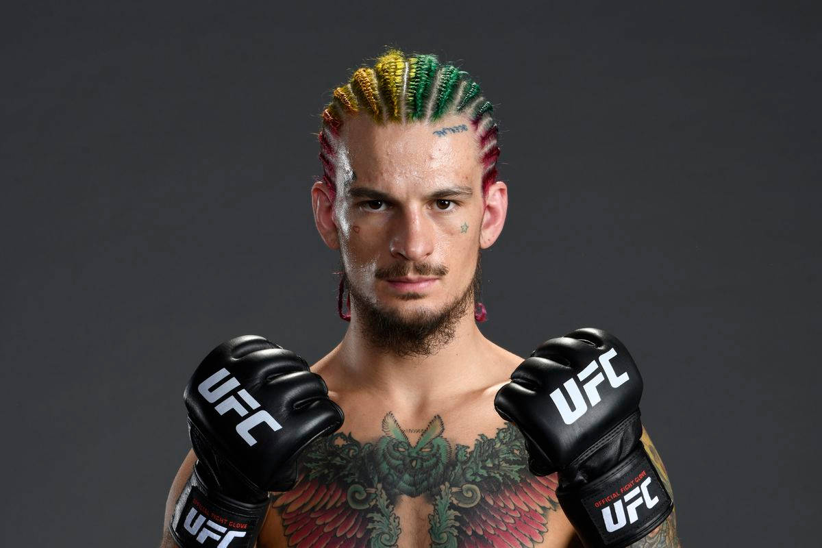 UFC 桌布 壁紙 — 一名UFC拳手，擁有鮮豔的彩虹辮子和胸口刺青，在深灰色工作室背景前凝視著。