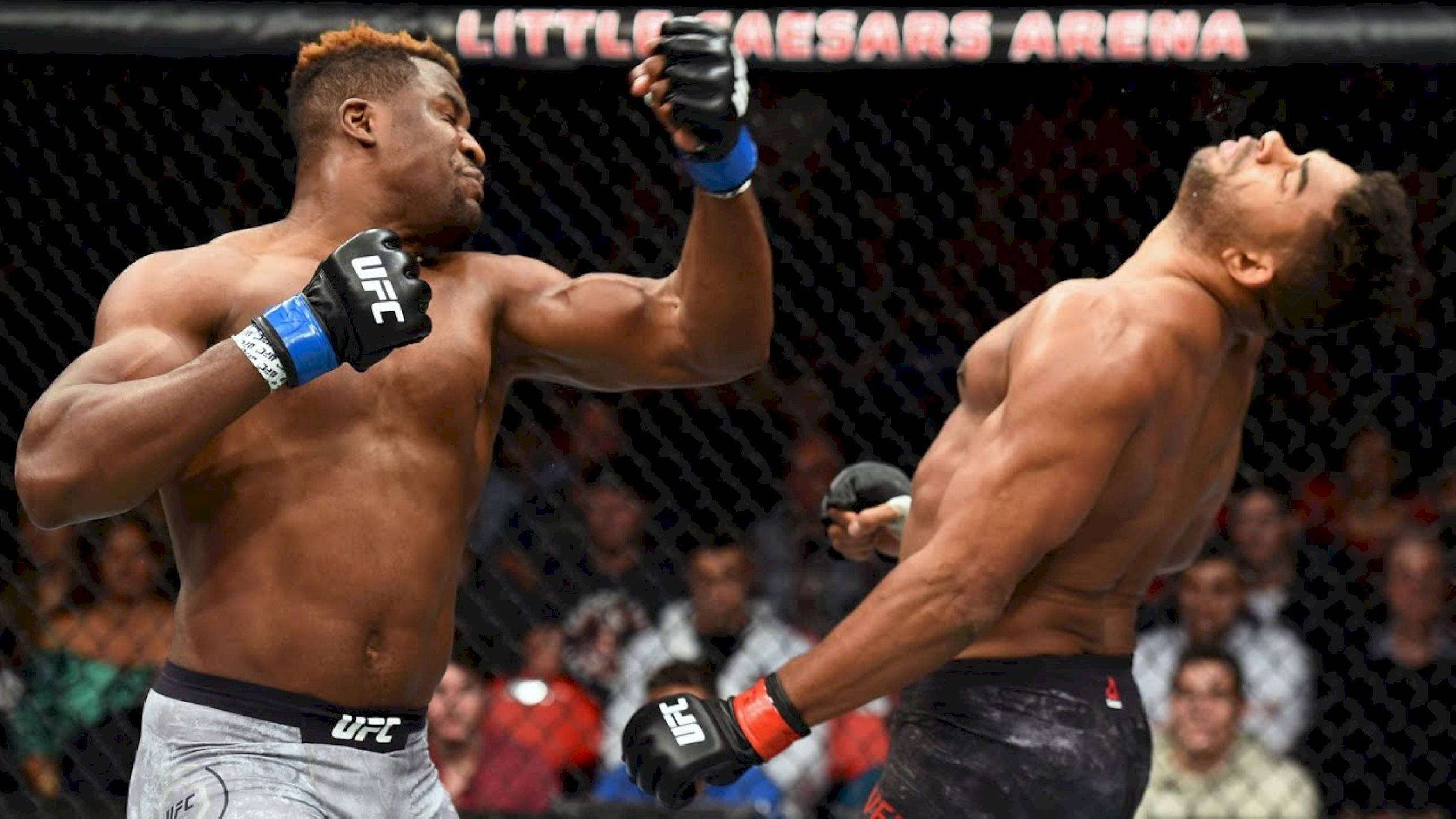 UFC 桌布 壁紙 — 一名UFC拳手在小凱薩體育館的八角籠中對對手打出強力一拳。