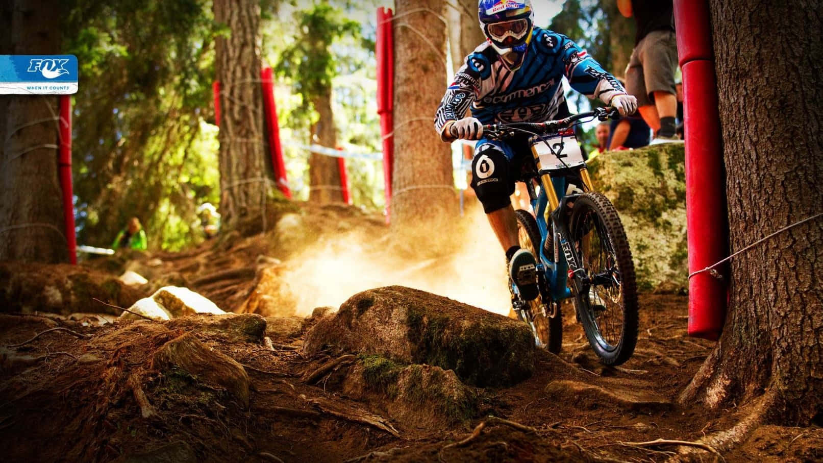 Racing 桌布 壁紙 — 一名全副裝備的山地車手在陽光明媚的森林小徑上飛馳，揚起塵土和泥土，環繞著長滿青苔的岩石。