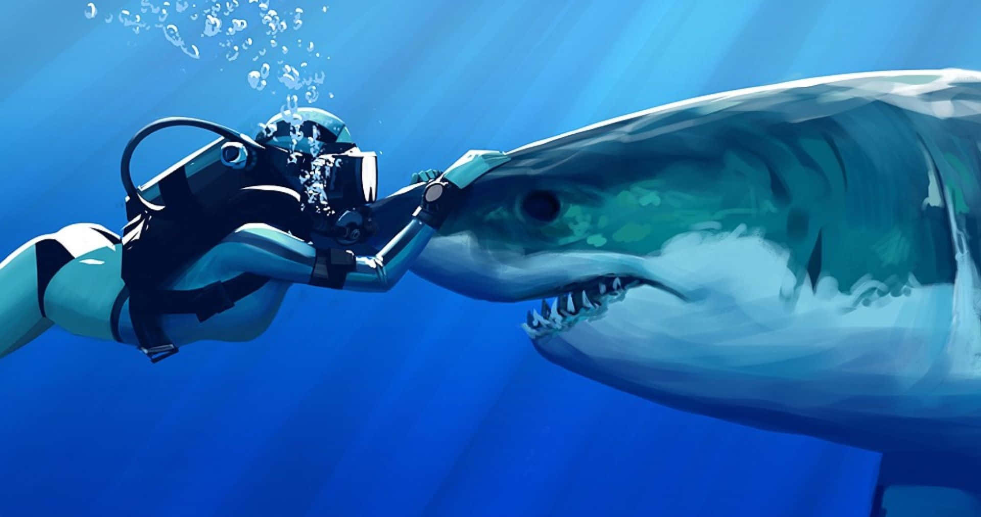Scary Shark 桌布 壁紙 — 一名全副裝備的潛水員在陽光穿透的深藍色海水中輕輕觸摸一條巨大鯊魚的鼻子。
