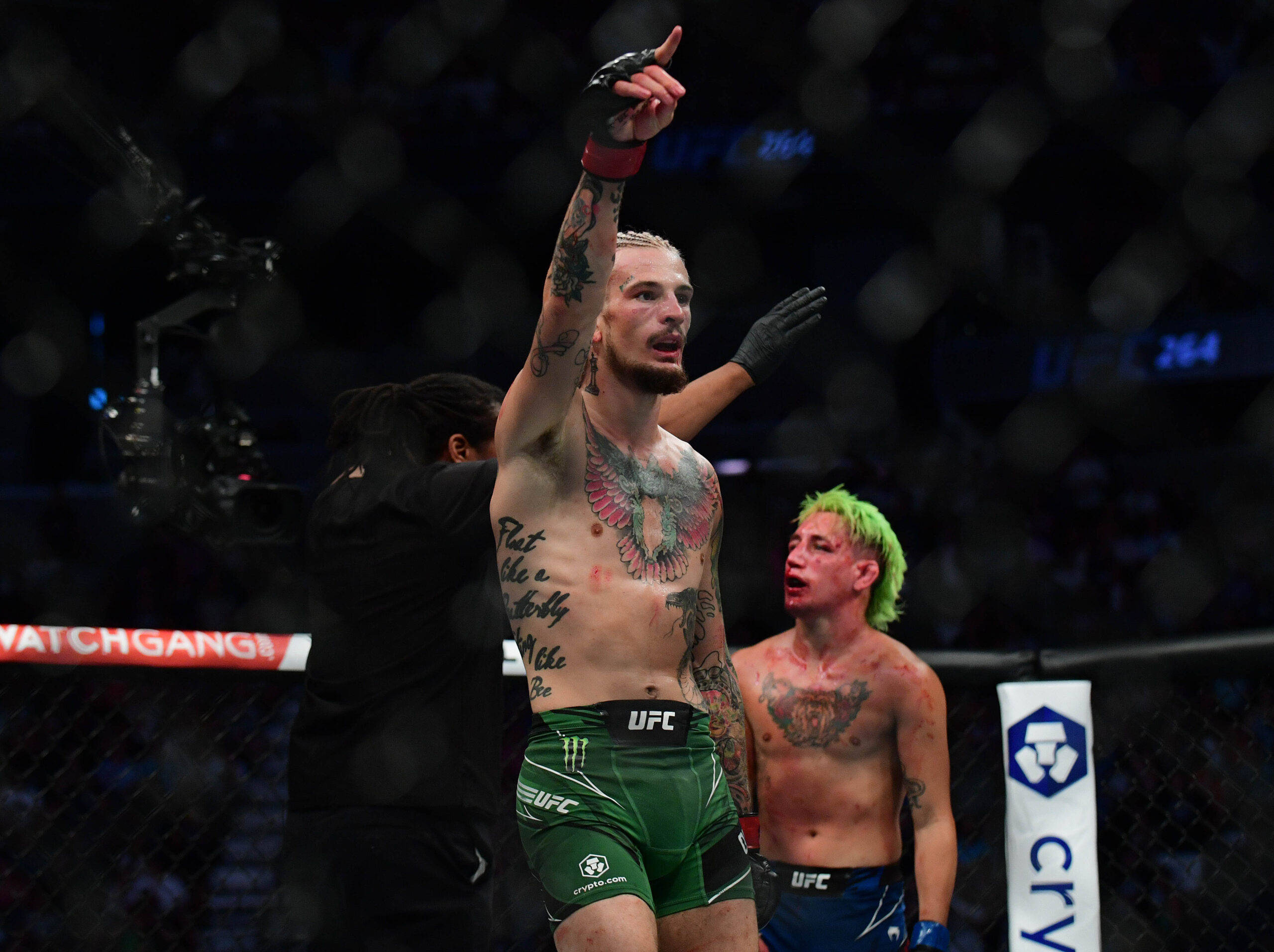 UFC 桌布 壁紙 — 一名勝利的UFC拳手穿著綠色短褲，在八角籠內高舉戴手套的拳頭慶祝勝利，而他的綠髮對手則敗陣站在附近。