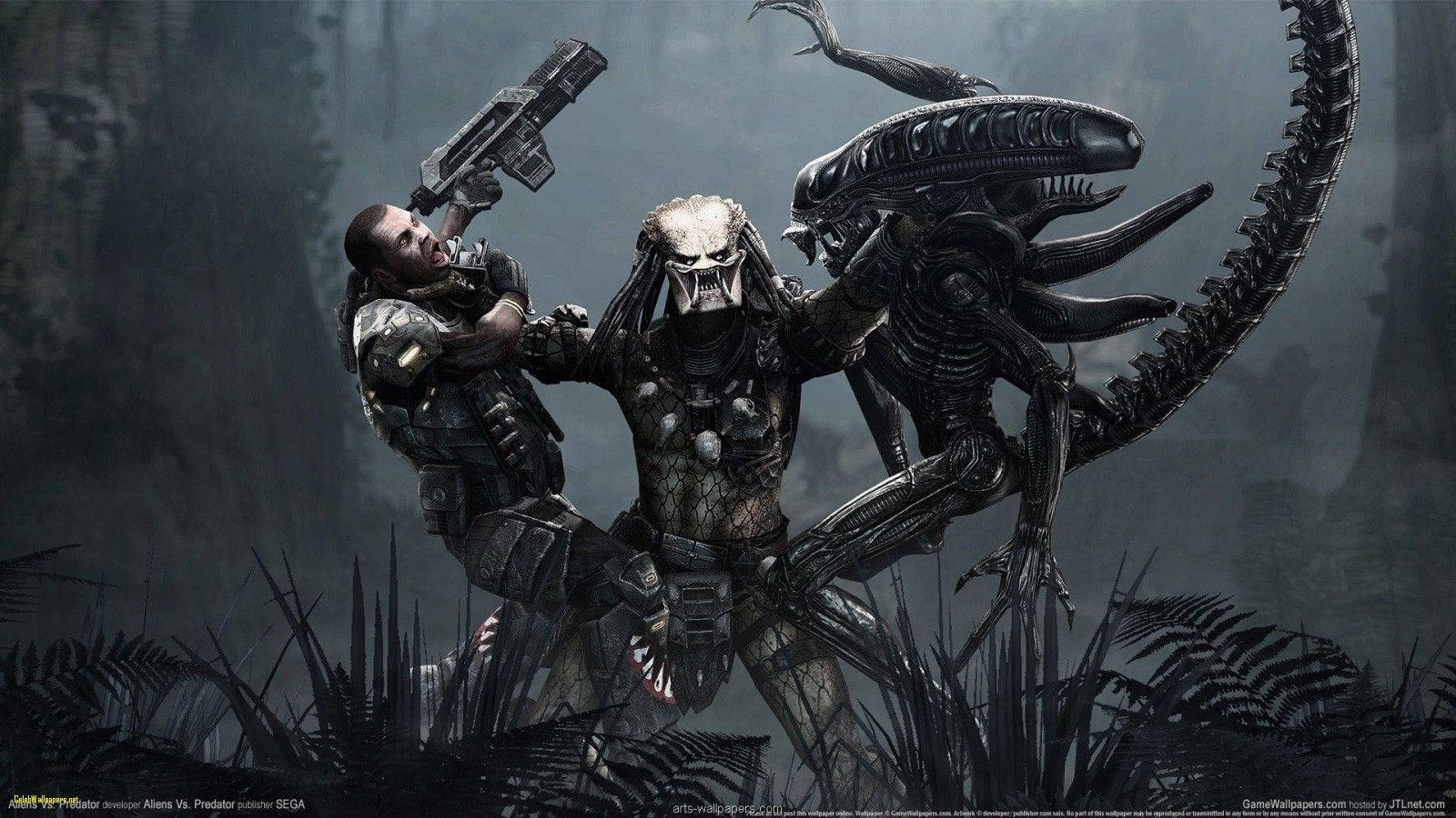 Cool Gaming 桌布 壁紙 — 一名士兵和一個掠食者在霧氣瀰漫的叢林中與異形戰鬥，周圍有尖銳的蕨類植物和深色調。