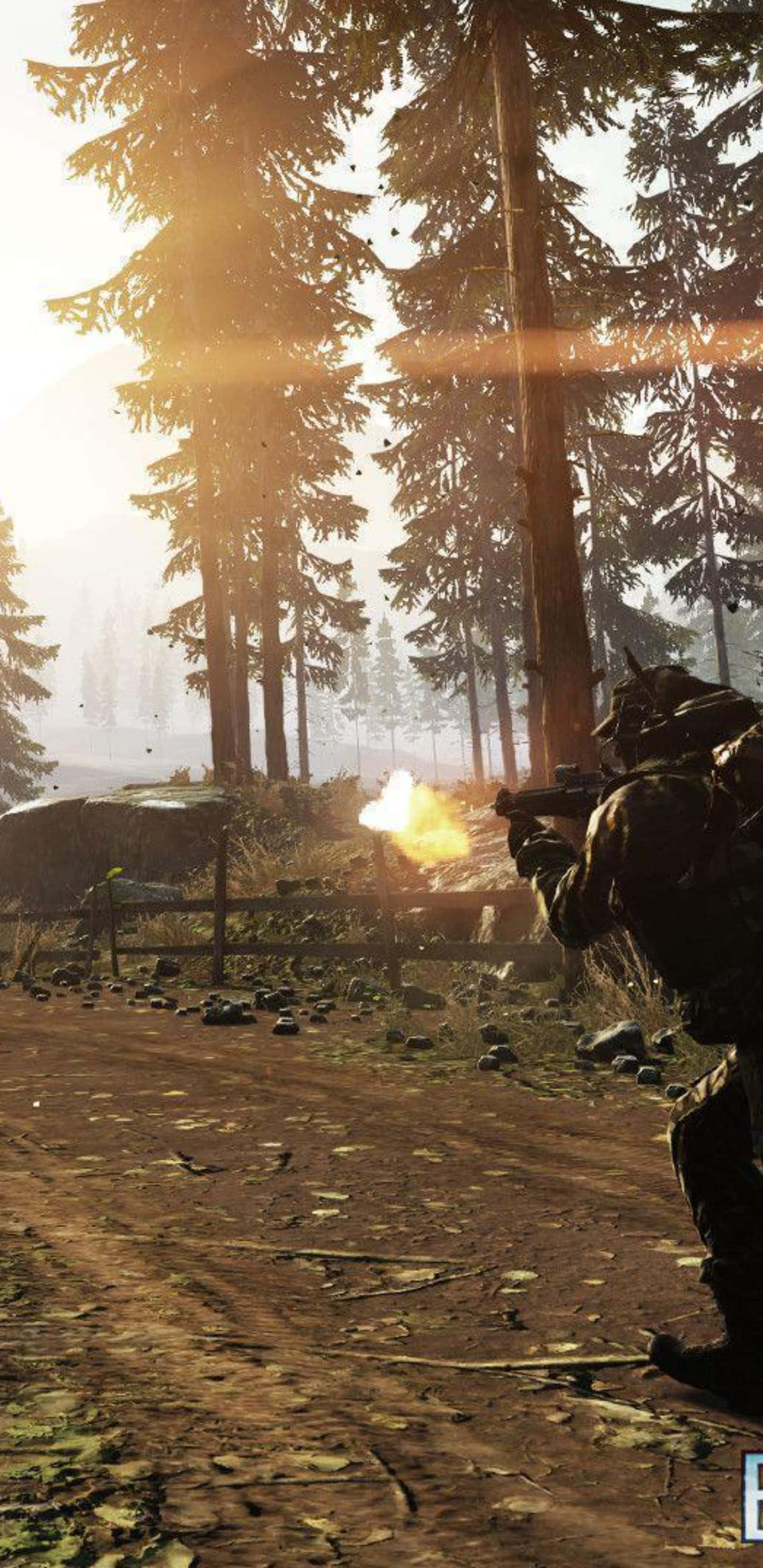 Pixel 3xl Battlefield 4 桌布 壁紙 — 一名士兵在陽光明媚的森林空地中開槍射擊，周圍有高大的松樹和一條泥土小徑。