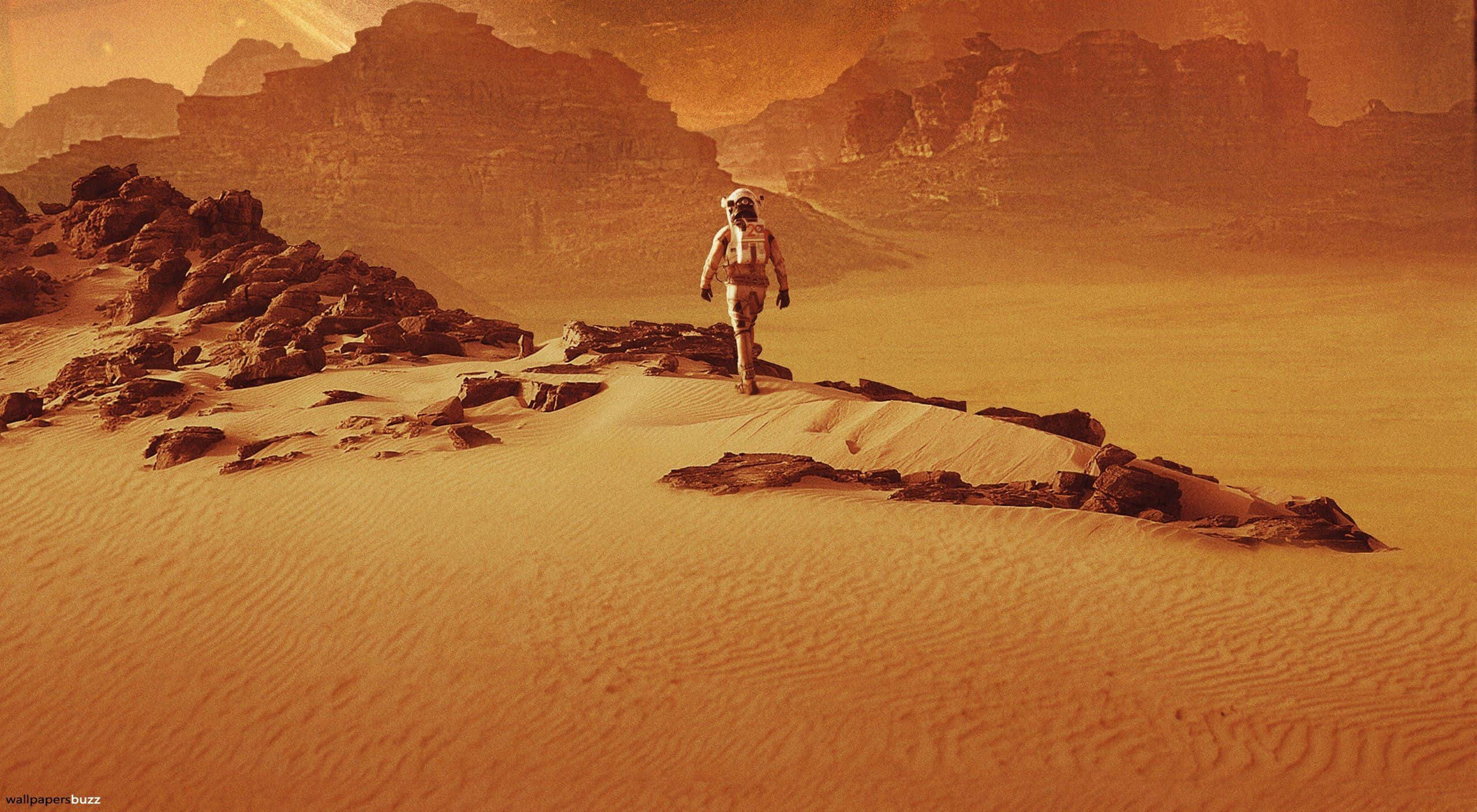 The Martian 桌布 壁紙 — 一名太空人在火星上廣闊的橙色沙漠中獨自行走，地形崎嶇，天空朦朧。