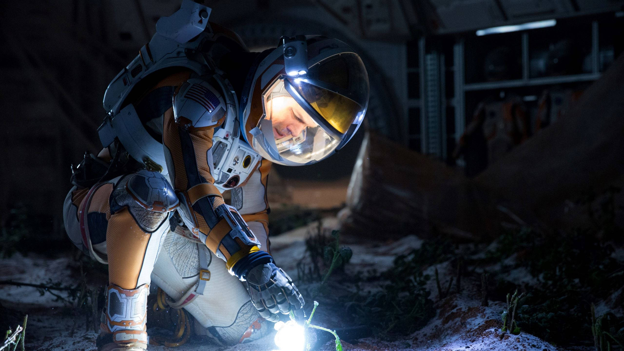 Matt Damon 桌布 壁紙 — 一名太空人跪在外星土壤上，用 handheld 燈照亮一株小植物，身處昏暗的未來棲息地。