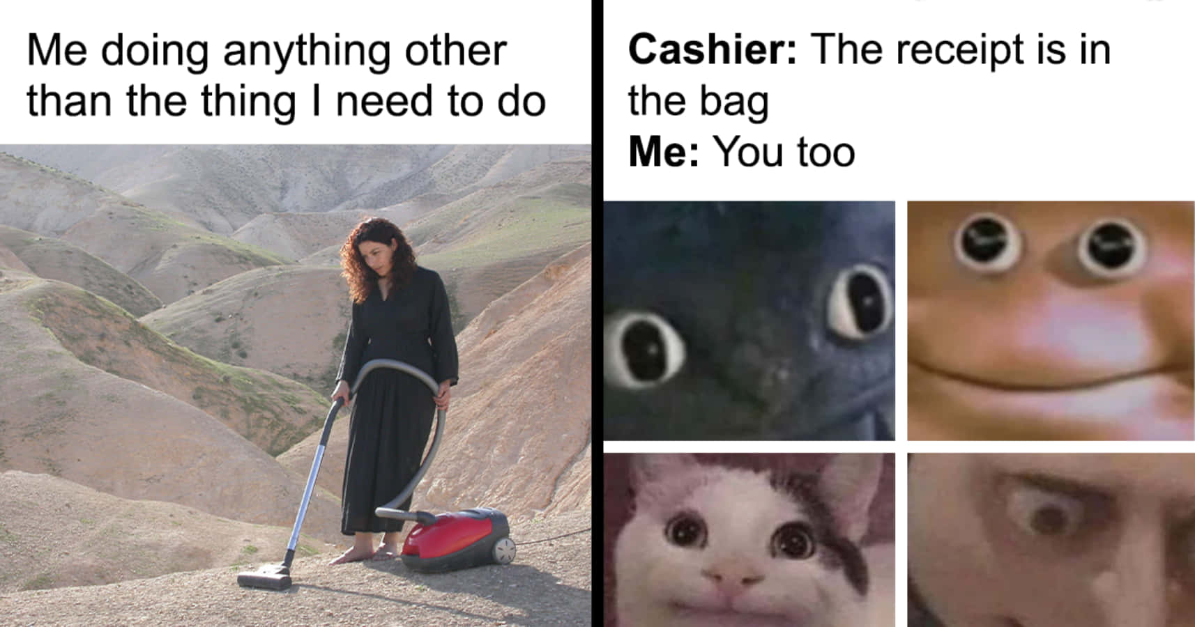 Memes Pics Funny 桌布 壁紙 — 一名女子在岩石沙漠山坡上吸塵，而文字幽默地將她的行為與收銀員的收據笑話形成對比。