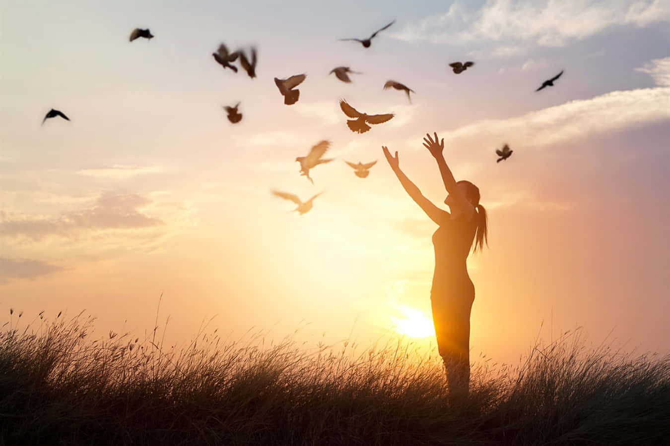 Freedom 桌布 壁紙 — 一名女子在日落時站在高高的草叢中，將鳥兒釋放到溫暖的金色天空中。