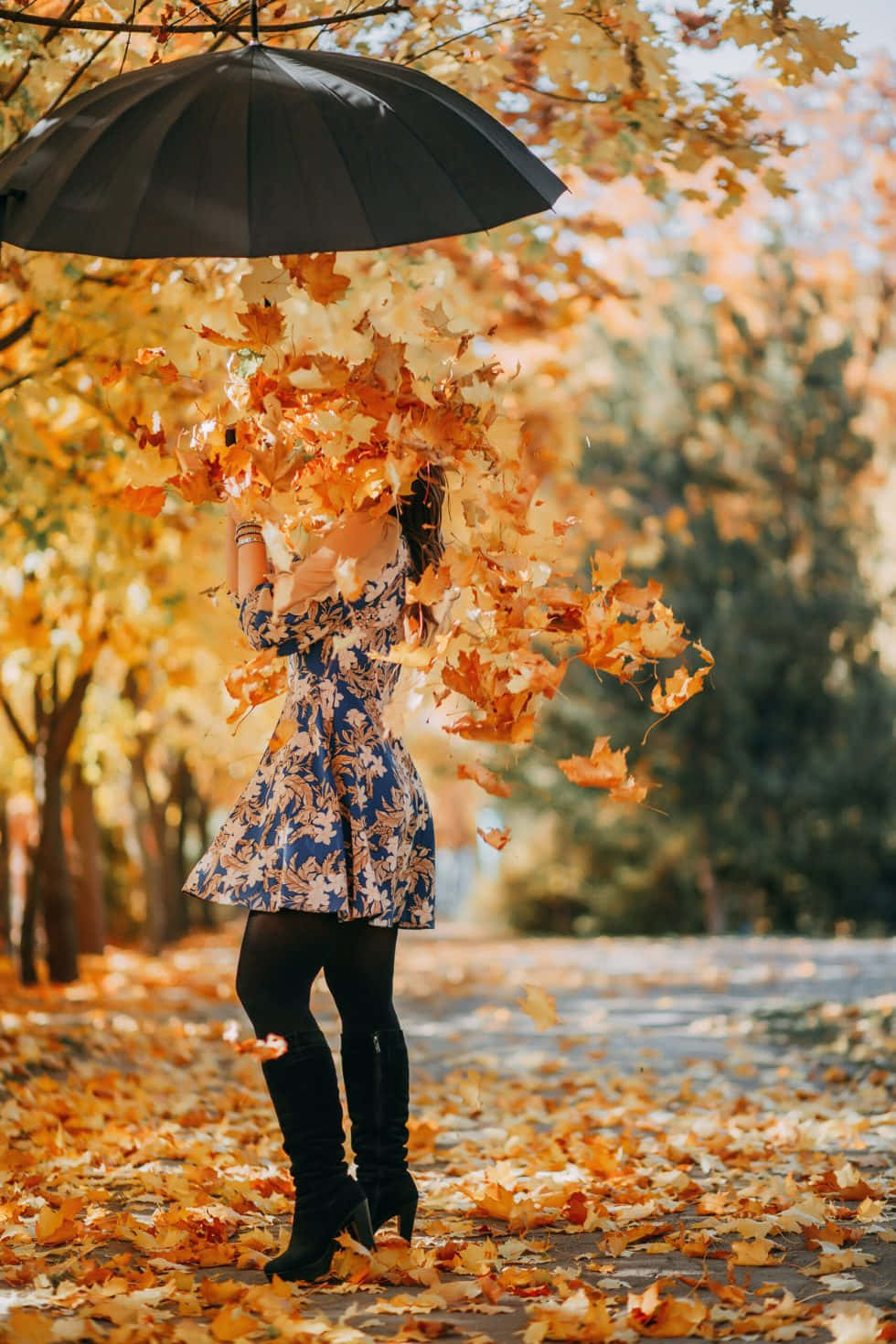 Autumn Fall 桌布 壁紙 — 一名女子撐著黑色雨傘，站在金黃色的秋日公園中，樹葉在充滿季節感的微風中圍繞她旋轉。