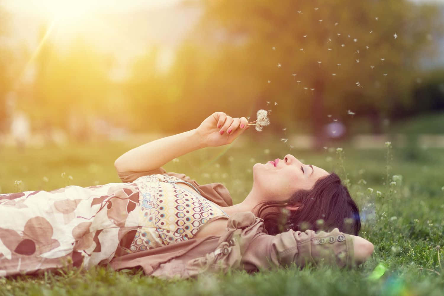life 桌布 壁紙 — 一名女子躺在草地上吹散蒲公英種子，身後樹木間透出金色陽光。