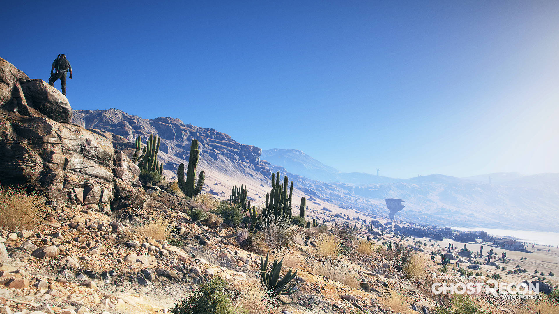 tom clancy's ghost recon wildlands 桌布 壁紙 — 一名孤獨的士兵站在岩石沙漠懸崖上，俯瞰著廣闊的峽谷，峽谷中有仙人掌和遠處的山脈，天空清澈湛藍。