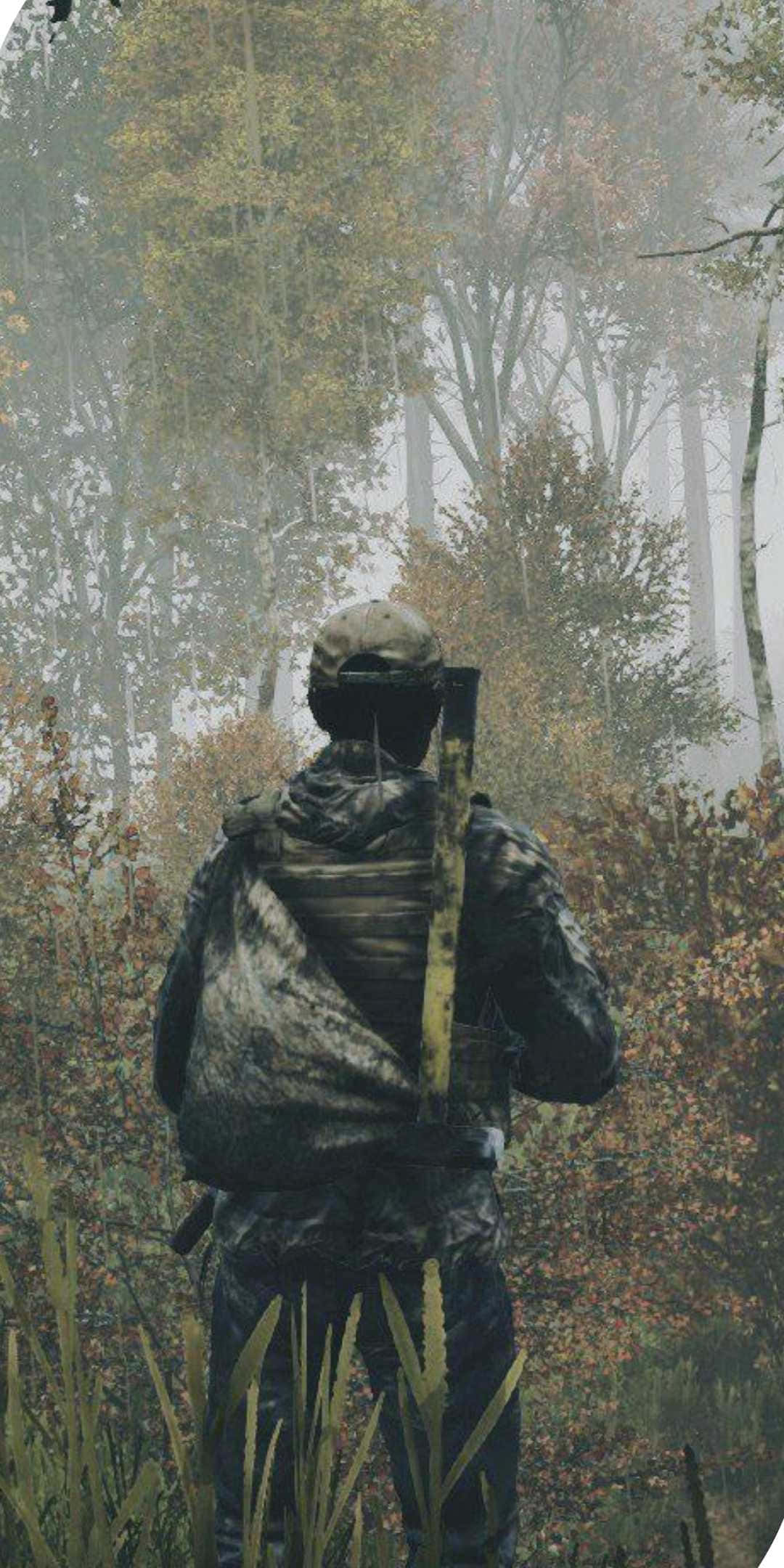電玩遊戲 桌布 壁紙 — 一名孤獨的士兵身穿迷彩裝備，在煙霧瀰漫的秋林中背光而立，手持步槍。