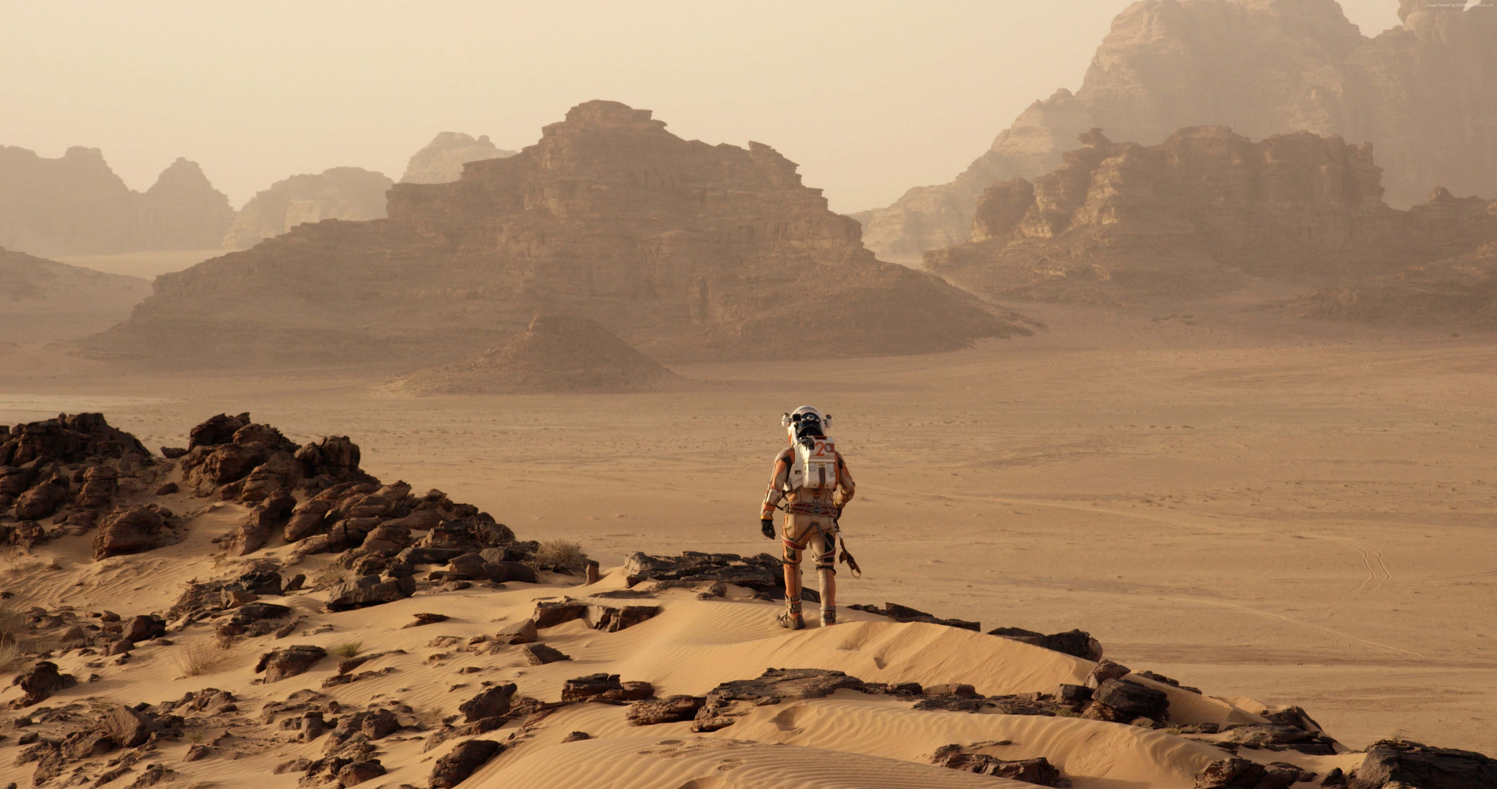 The Martian 桌布 壁紙 — 一名孤獨的太空人穿著太空衣，站在沙脊上，俯瞰廣闊、岩石密佈的火星沙漠，天空是朦朧的橙色。