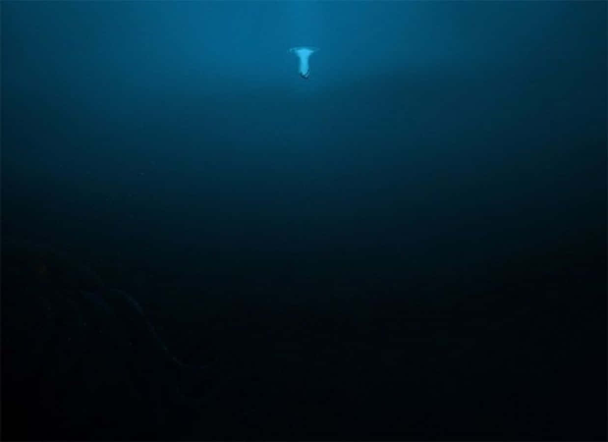 Deep 桌布 壁紙 — 一名孤獨的潛水員潛入深藍色海洋的黑暗之中，上方有微弱的光線。