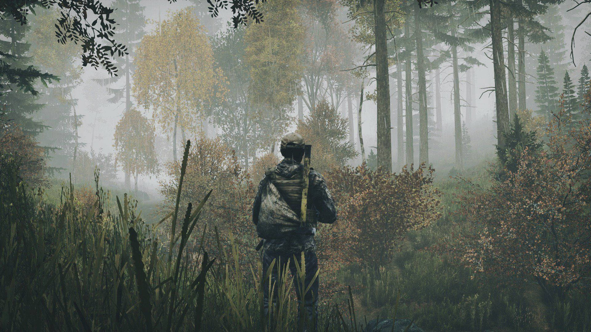 DayZ 桌布 壁紙 — 一名孤獨的獵人穿著迷彩裝備，走過霧氣瀰漫的秋日森林，周圍有高高的草和高大的樹木。
