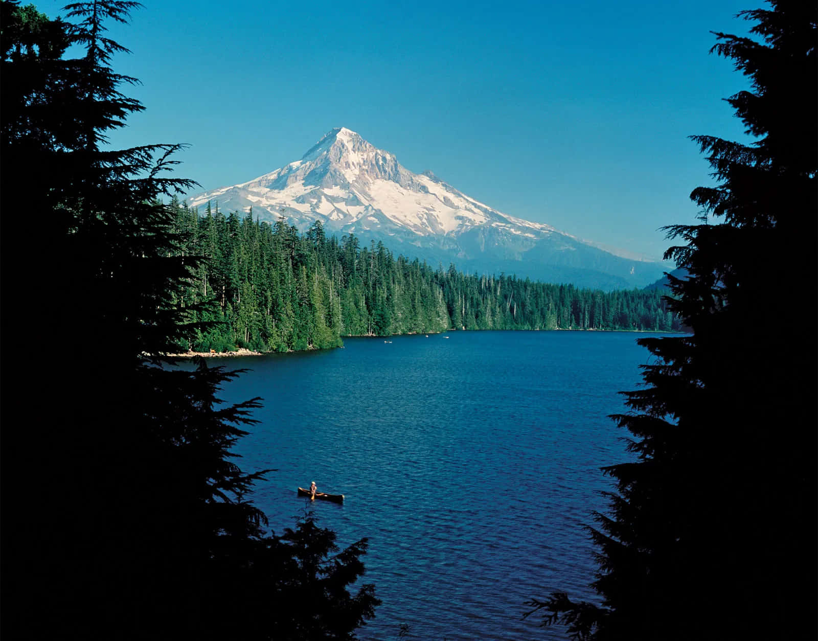 Mount Hood 桌布 壁紙 — 一名孤獨的皮划艇運動員在深藍色的湖面上滑行，湖邊環繞著深色的常青樹，遠處一座白雪覆蓋的山峰在清澈的藍天下雄偉地聳立。