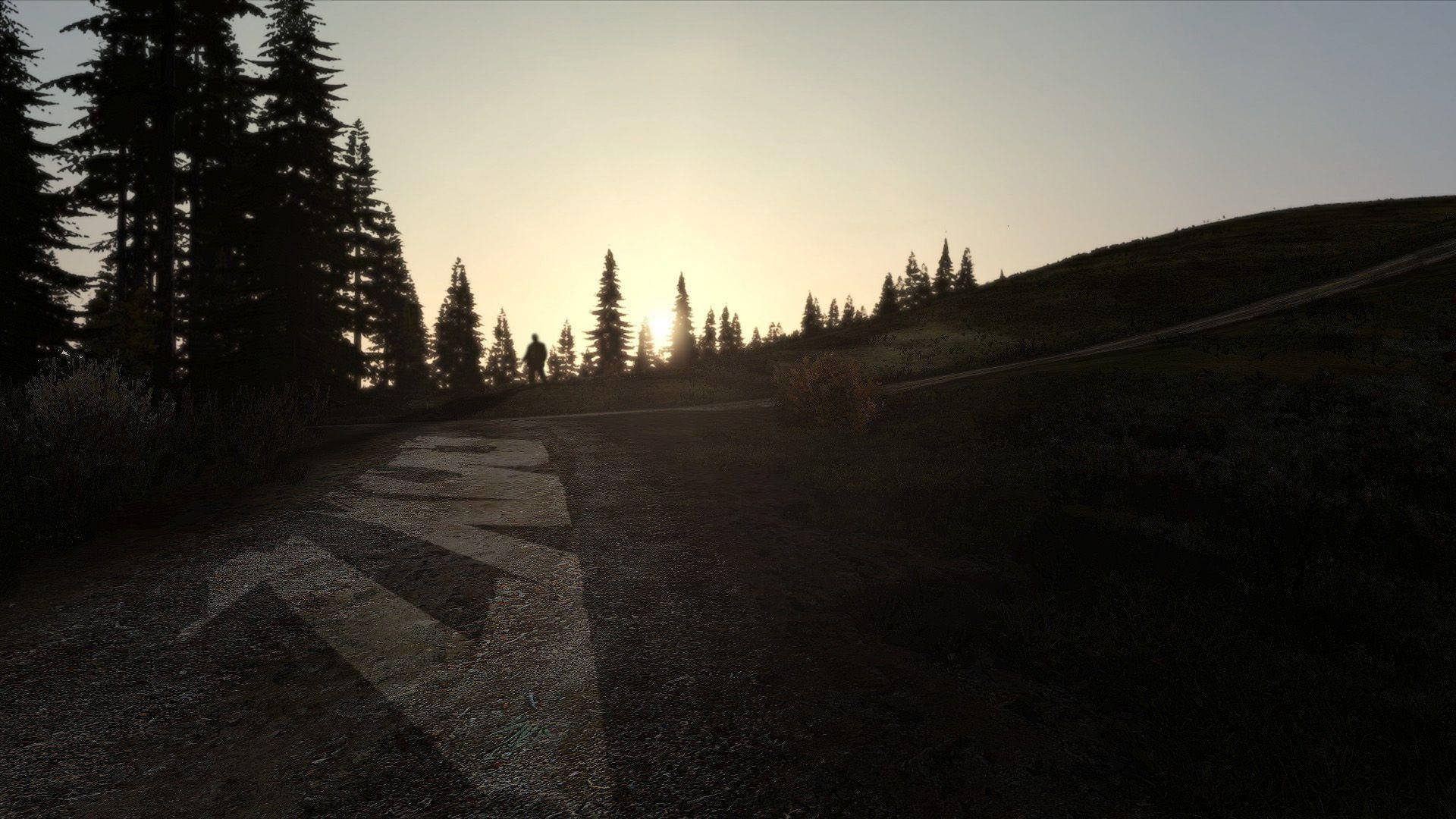 Dayz Desktop 桌布 壁紙 — 一名孤獨的遠足者沿著蜿蜒的森林小徑行走，在日落時分，高大的松樹在發光的天空映襯下形成剪影。