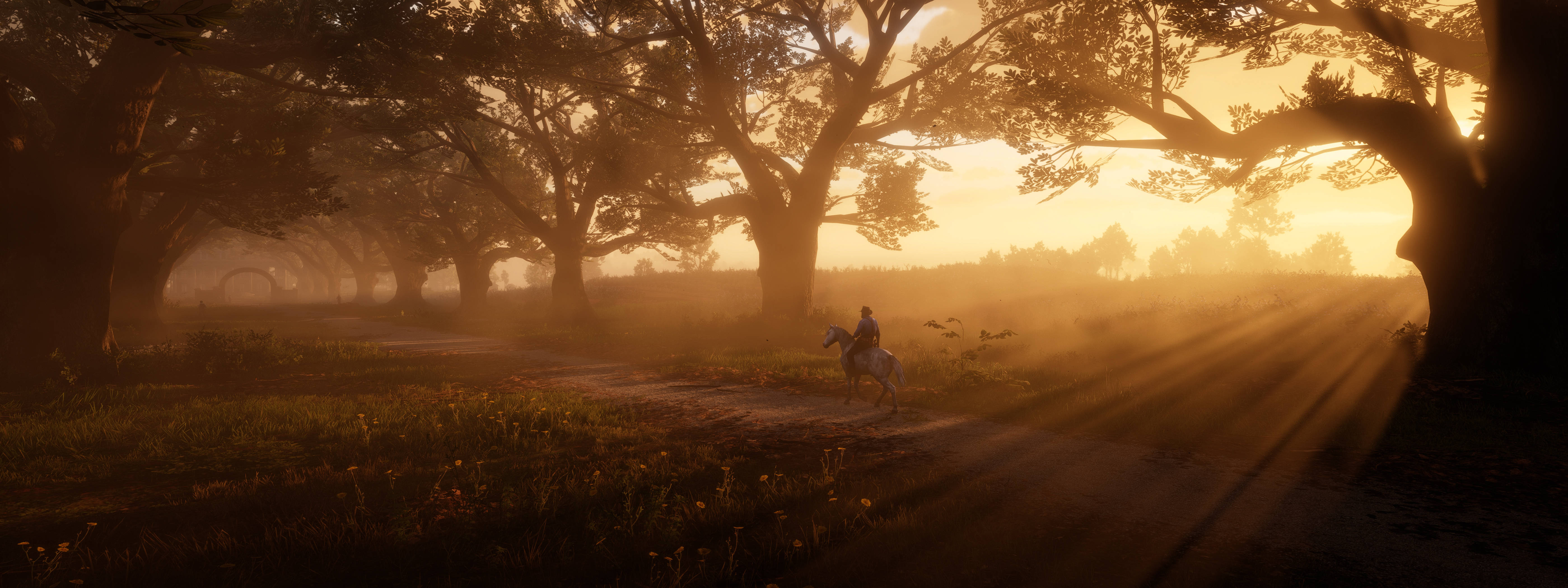 Red Dead Redemtion 2 桌布 壁紙 — 一名孤獨的騎手騎著馬沿著霧氣瀰漫的林蔭小徑前行，金色晨光穿透樹冠灑落。