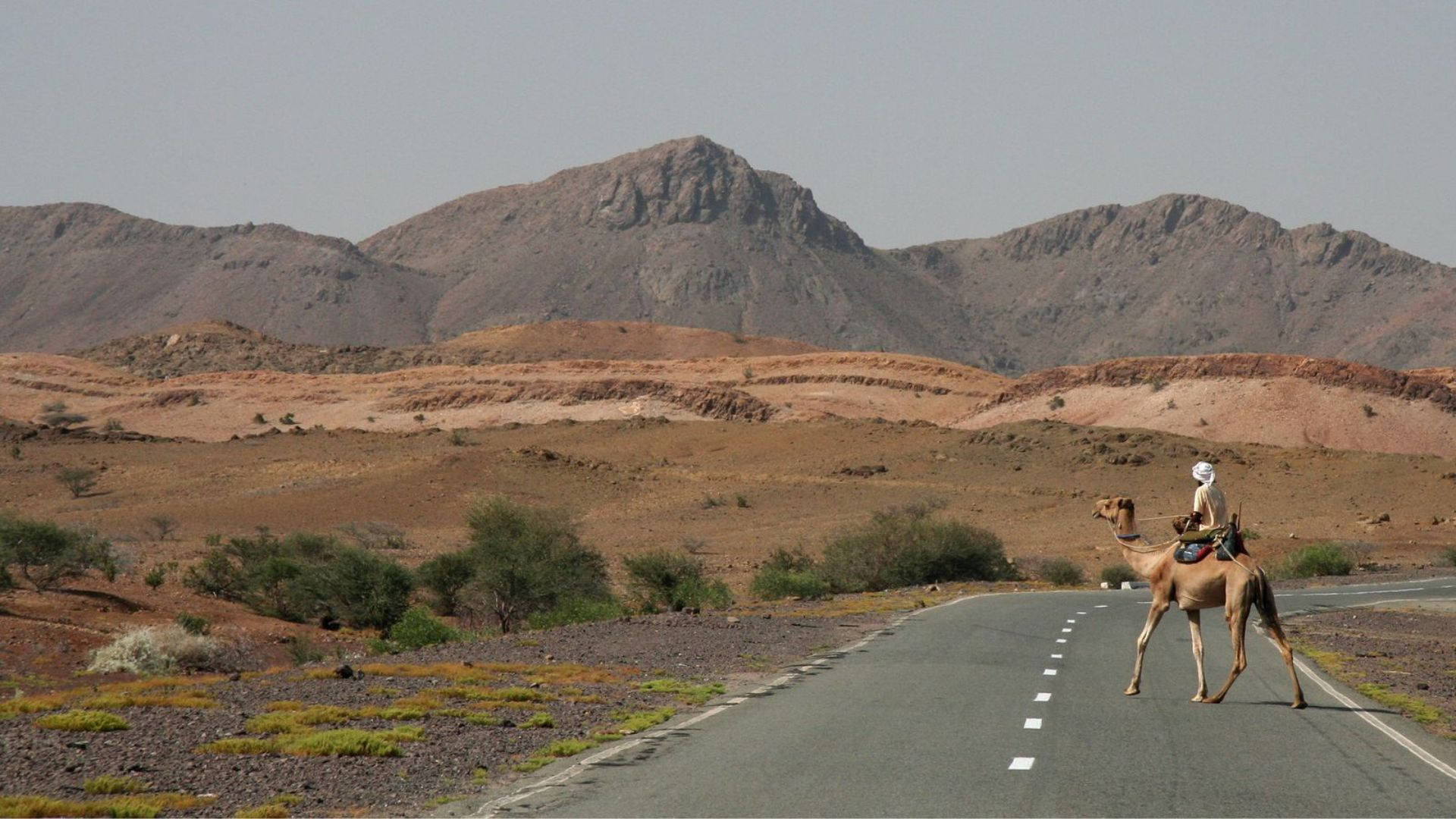 Eritrea 桌布 壁紙 — 一名孤獨的騎手騎著駱駝穿過一條鋪砌的道路，穿越廣闊乾旱的沙漠，背景是崎嶇的山脈。