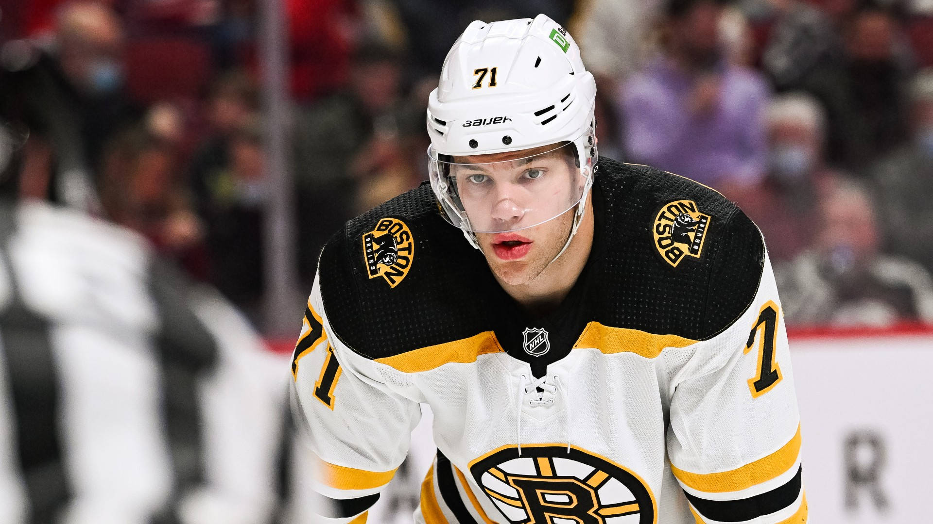 hockey 桌布 壁紙 — 一名專注的冰球運動員身穿波士頓棕熊隊球衣，在比賽中於冰上向前傾，背景有模糊的觀眾。