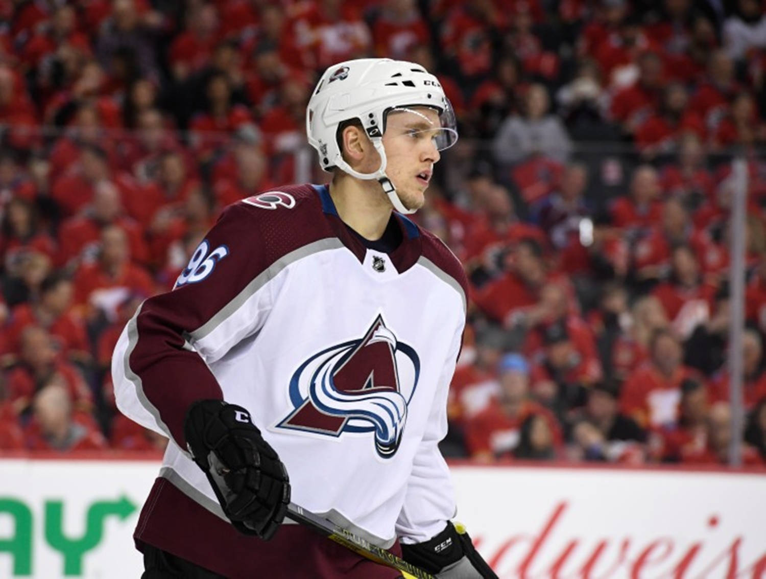 hockey 桌布 壁紙 — 一名專注的冰球運動員身穿白色和栗色的科羅拉多雪崩隊球衣，手持球棍在冰上滑行，身後是一片身穿紅色服裝的球迷海洋，擠滿了場館。