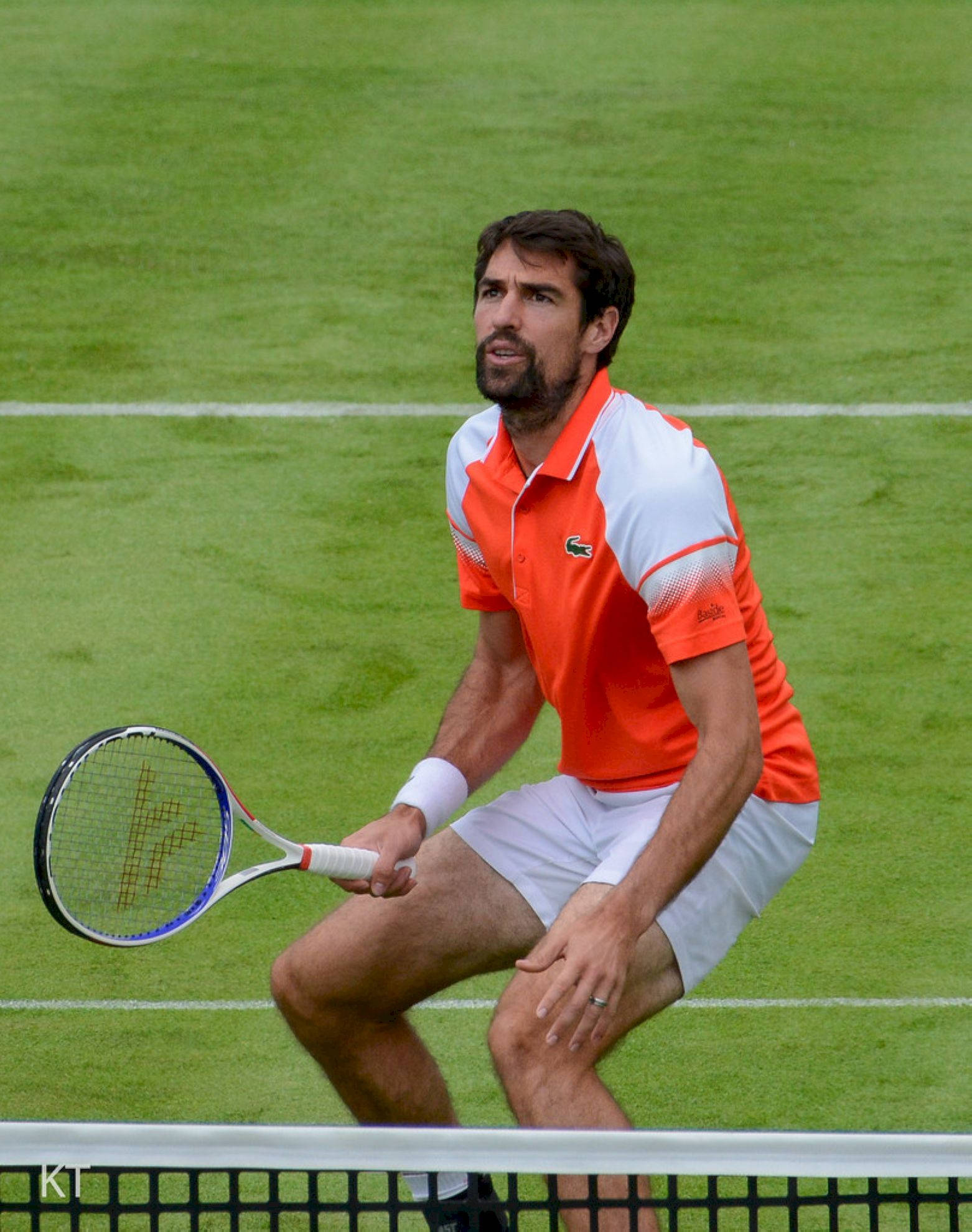 Tennis 桌布 壁紙 — 一名專注的男網球運動員身穿橙色和白色裝備，在草地場上蹲下並握著球拍。