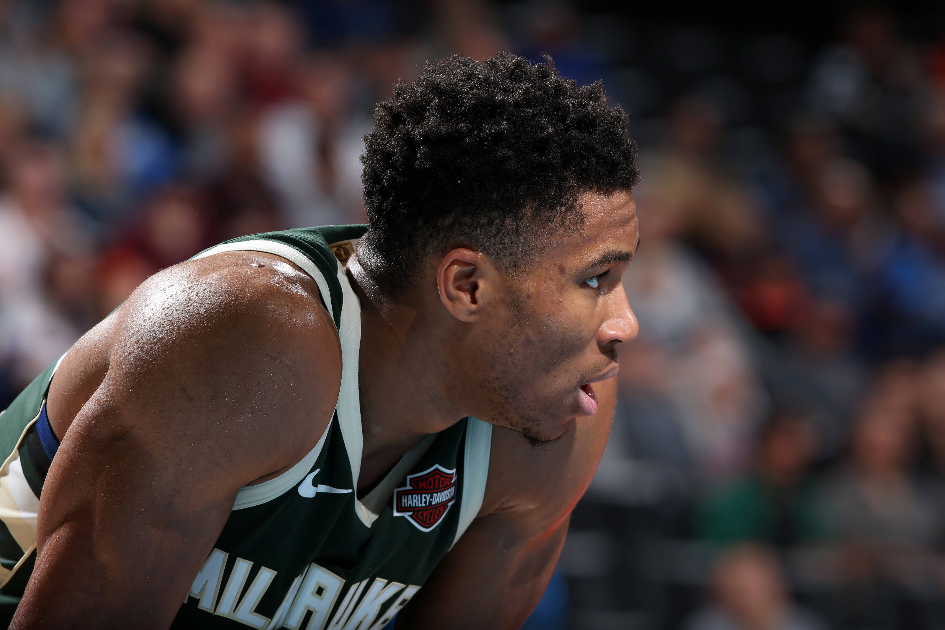 Giannis 桌布 壁紙 — 一名專注的籃球運動員身穿綠色密爾瓦基球衣，在明亮的場館燈光下於激烈比賽中向前傾身。