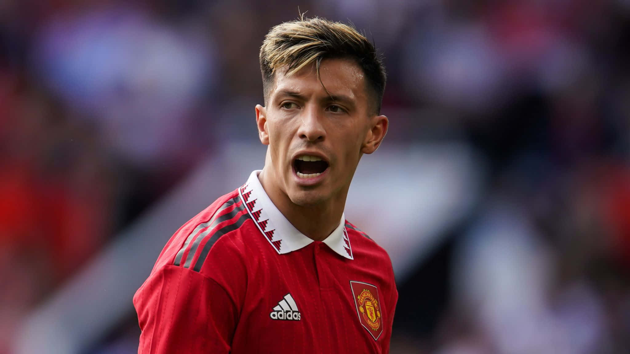 Manchester United Team 桌布 壁紙 — 一名專注的足球員身穿紅色曼聯球衣，在日間比賽中大喊，身後是模糊的體育場人群。