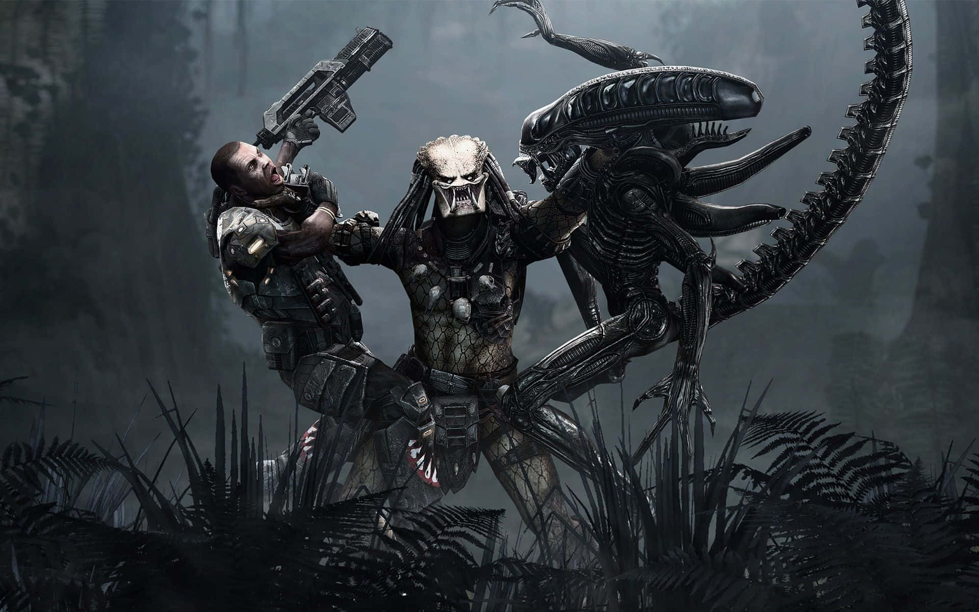 Wolf Predator 桌布 壁紙 — 一名戰士在霧氣籠罩的叢林中與鐵血戰士戰鬥，同時異形從背後撲來。