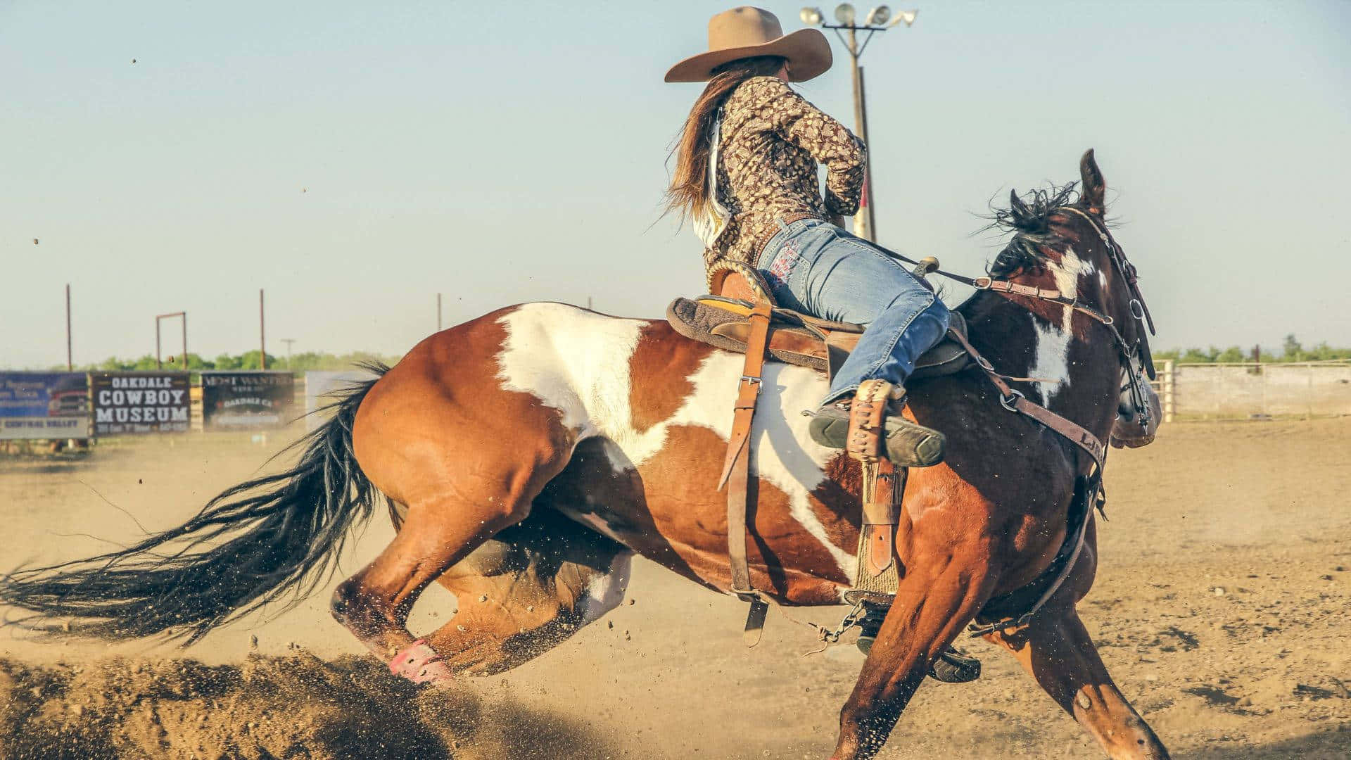 Horse Riding 桌布 壁紙 — 一名戴帽子的牛仔在塵土飛揚的牛仔競技場上，騎著一匹棕白相間的烈馬，在明亮的日光下奔騰。