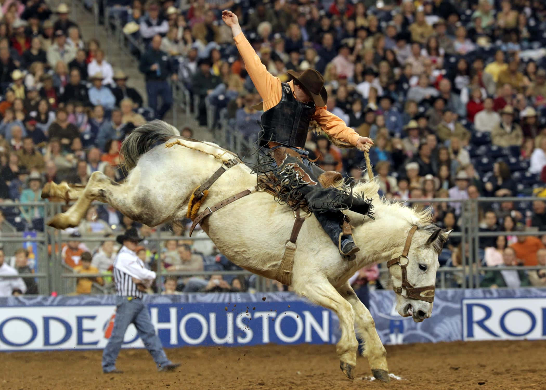 Rodeo 桌布 壁紙 — 一名戴棕色帽子、穿橙色襯衫的牛仔在牛仔競技場騎著一匹掙扎的白馬，周圍有歡呼的人群。