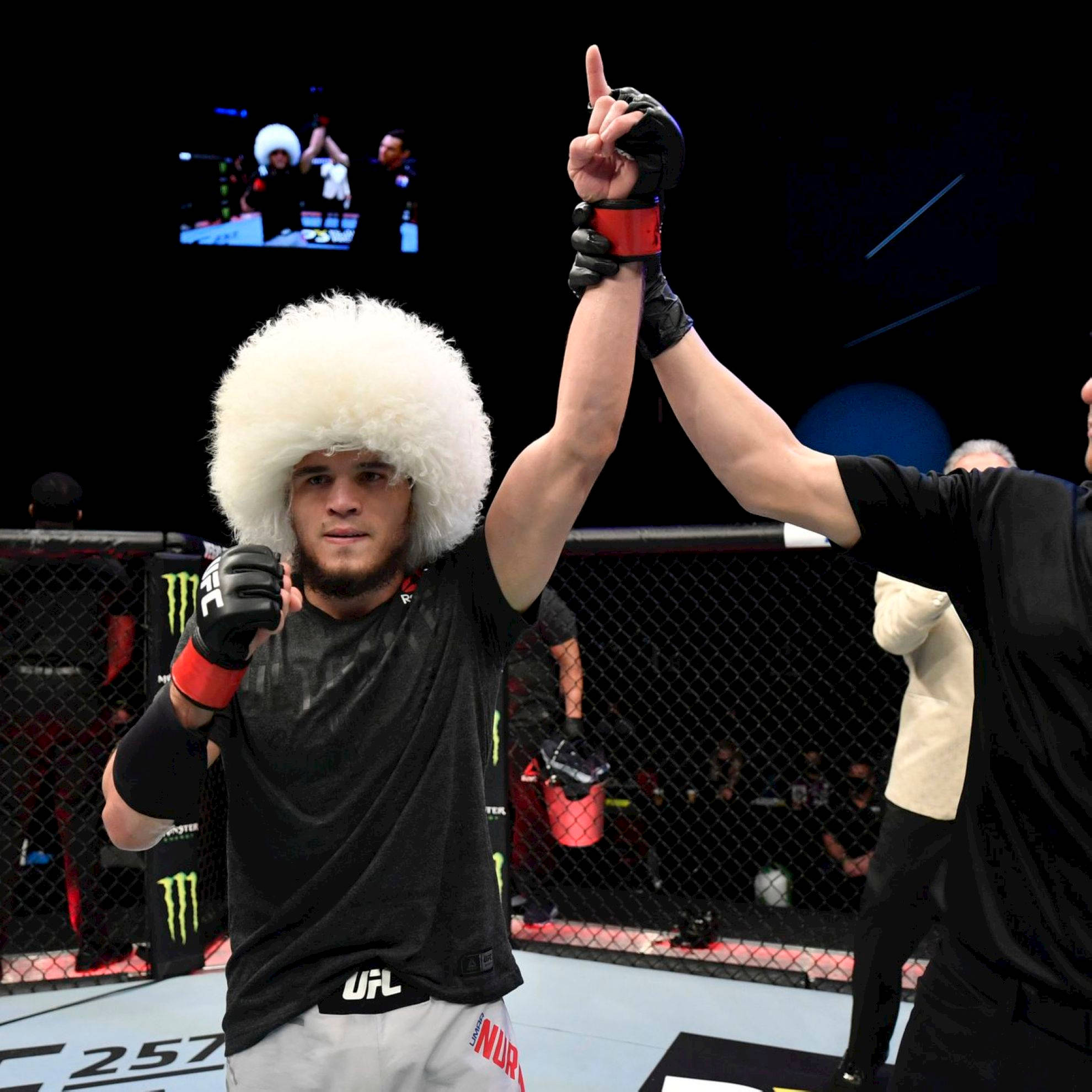 Victory 桌布 壁紙 — 一名戴白色毛帽的拳手在UFC八角籠內慶祝勝利，裁判舉起他的手臂。