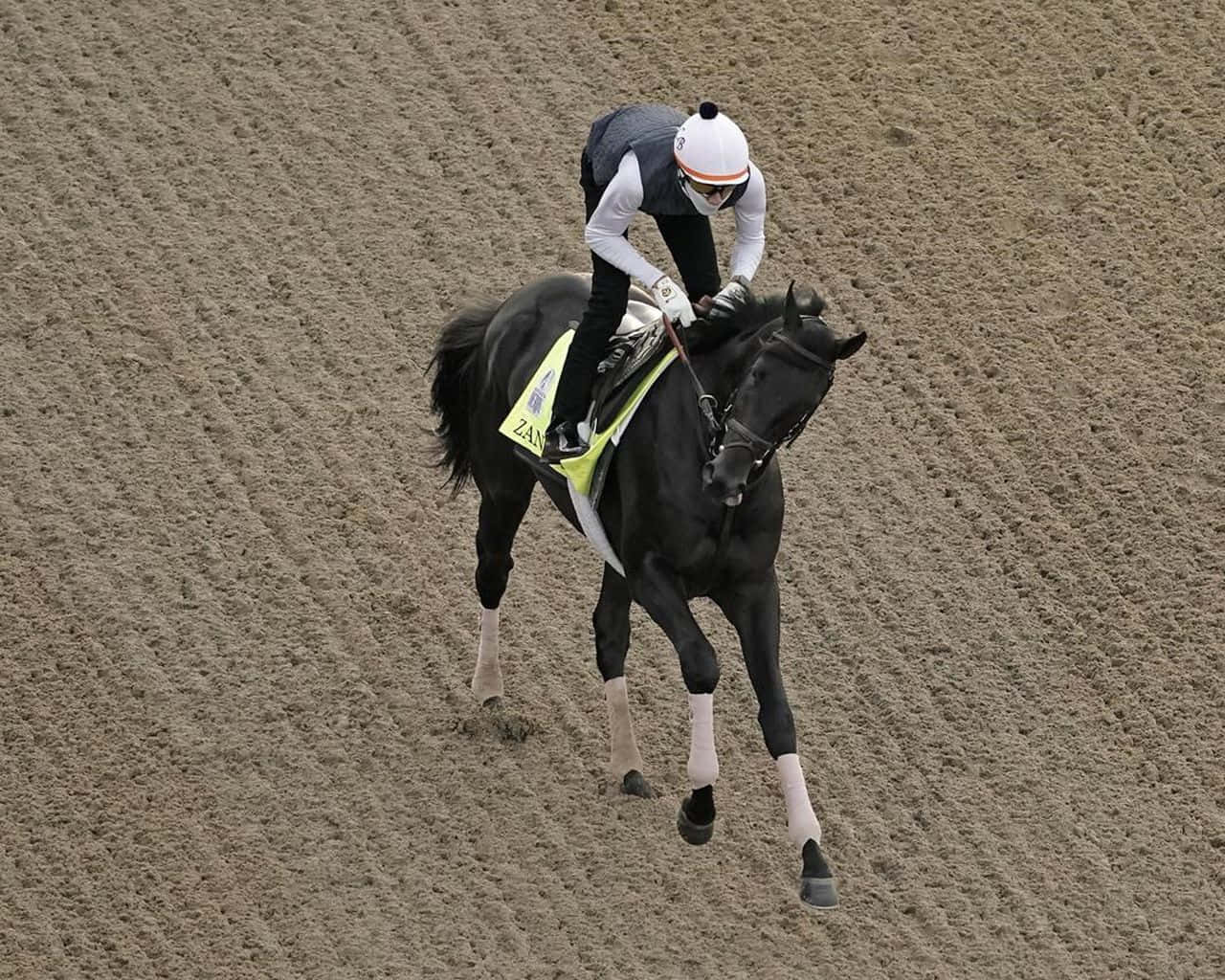 Kentucky Derby 桌布 壁紙 — 一名戴白色頭盔的騎師在沙地賽道上騎著一匹黑色賽馬，馬腿纏有白色繃帶，身體前傾。