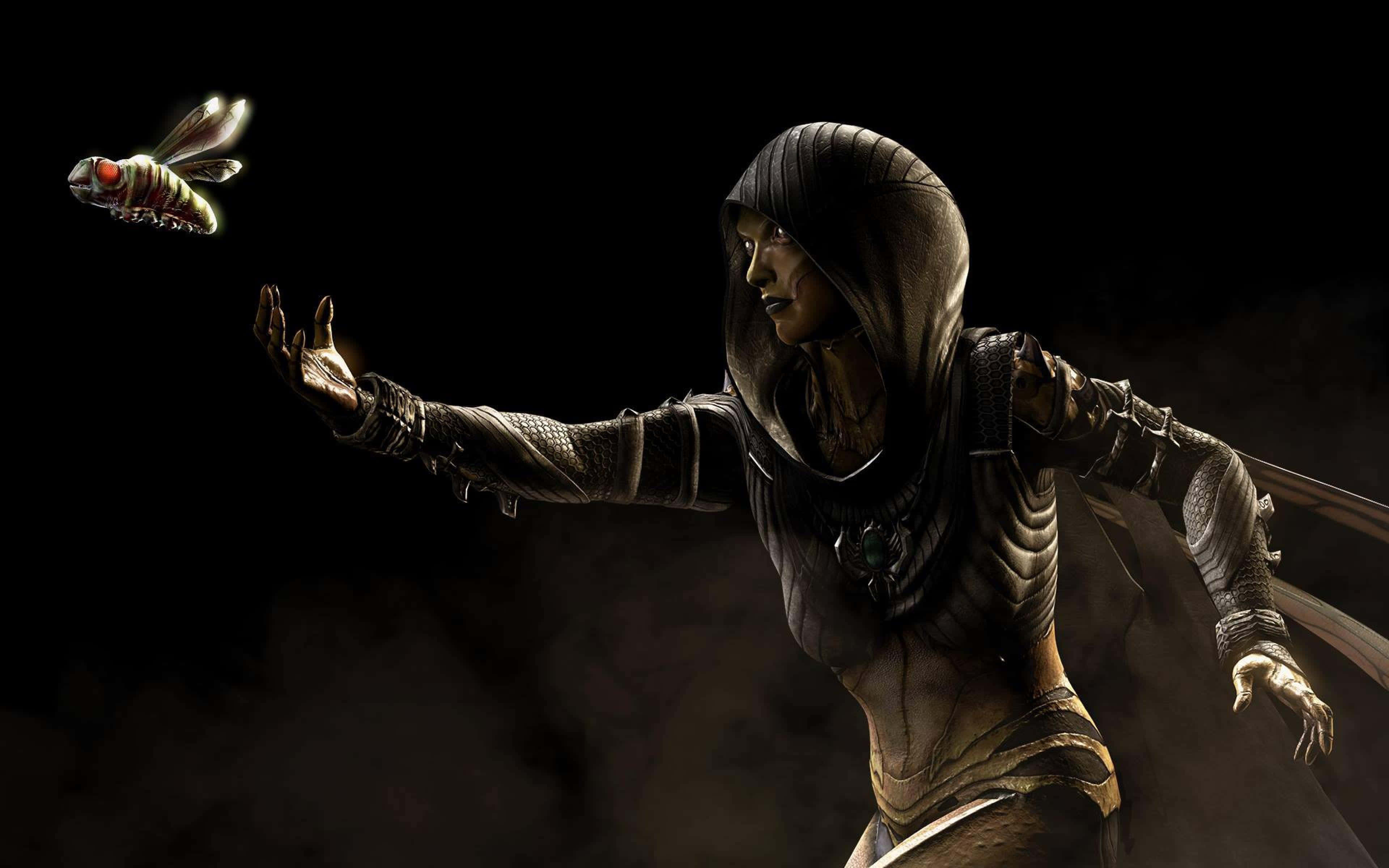 Mortal Kombat X 桌布 壁紙 — 一名戴著兜帽、身穿暗色盔甲的戰士，在煙霧繚繞的黑色背景中，向一隻發光的昆蟲伸出手。