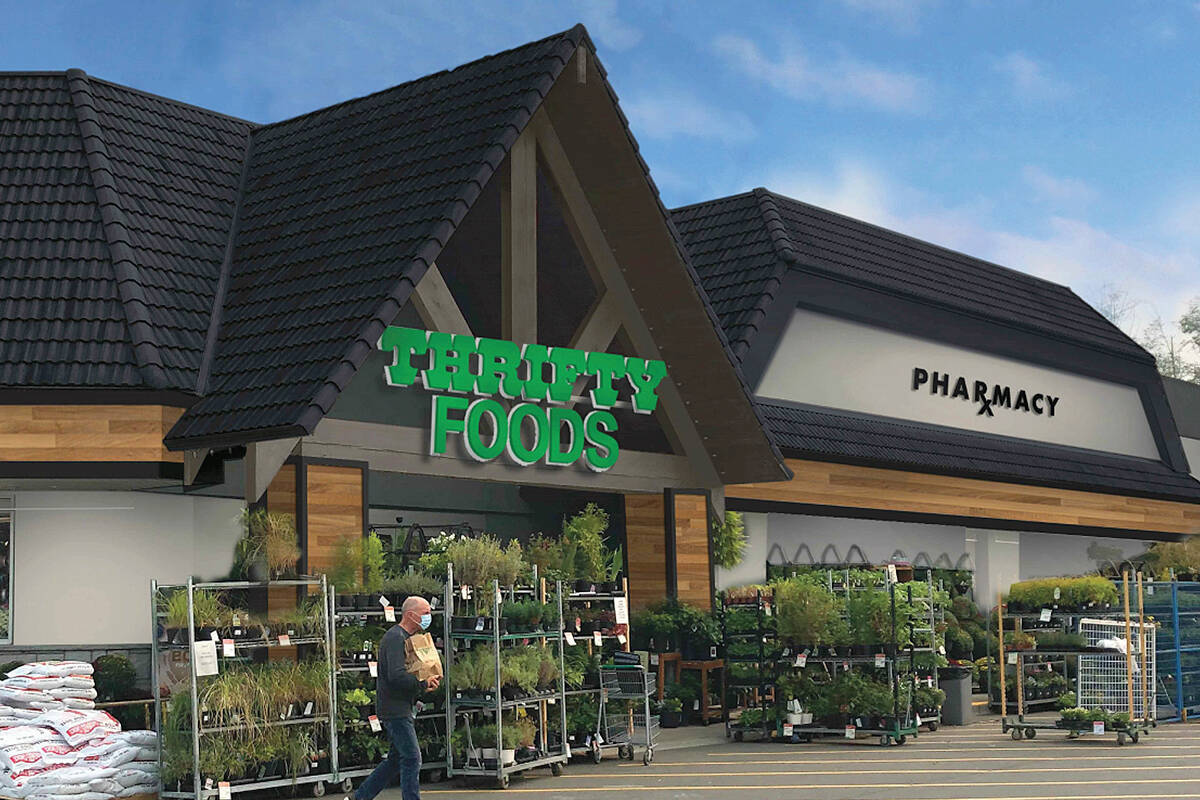 Store 桌布 壁紙 — 一名戴著口罩的男子走過現代化Thrifty Foods商店外一排排盆栽植物，商店設有藥房，天空清澈湛藍。