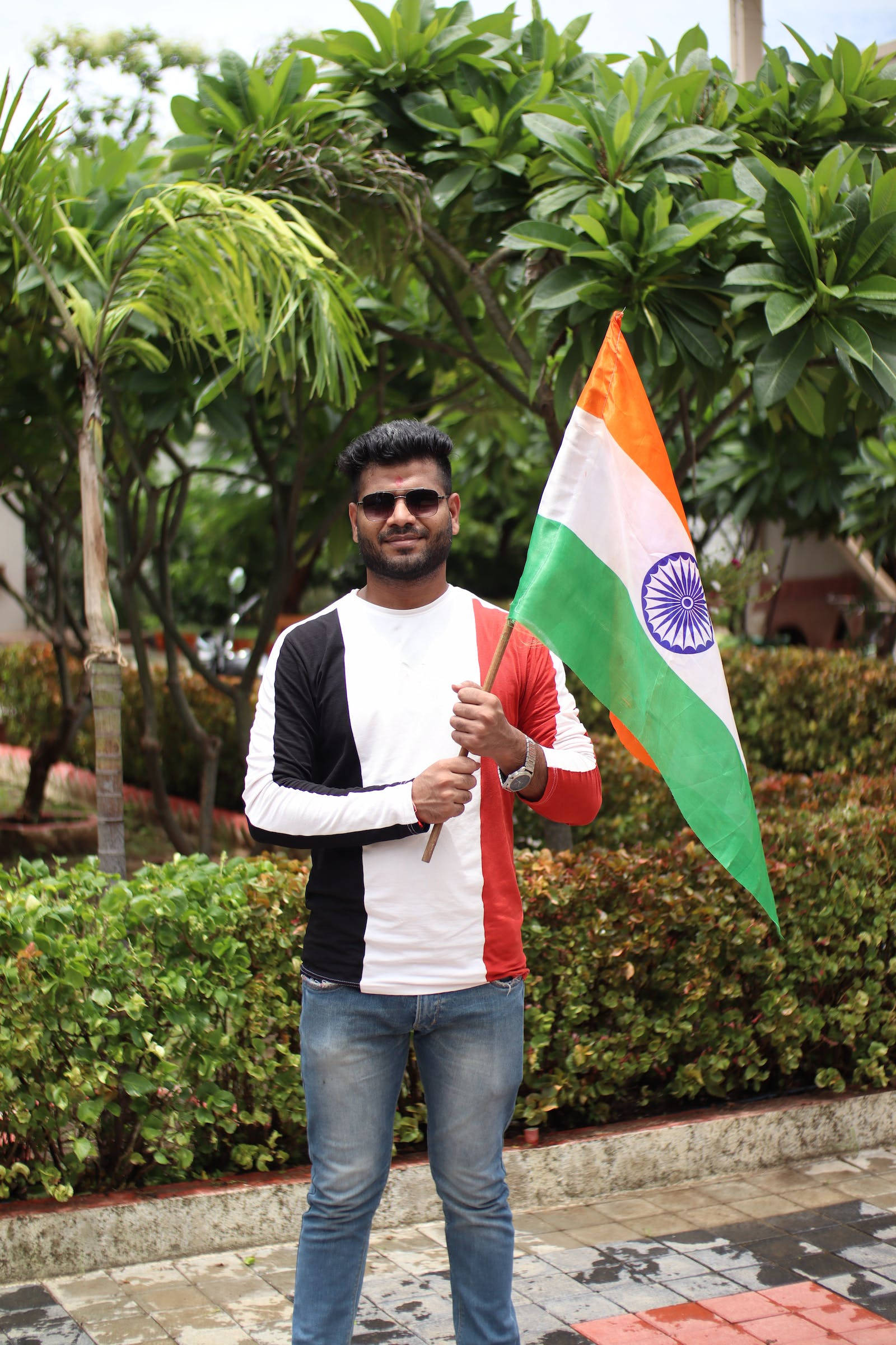 Tiranga 桌布 壁紙 — 一名戴著太陽眼鏡、身穿拼色襯衫的男子，在茂密的綠色樹葉和鋪砌的地面背景下，自豪地舉著印度國旗。
