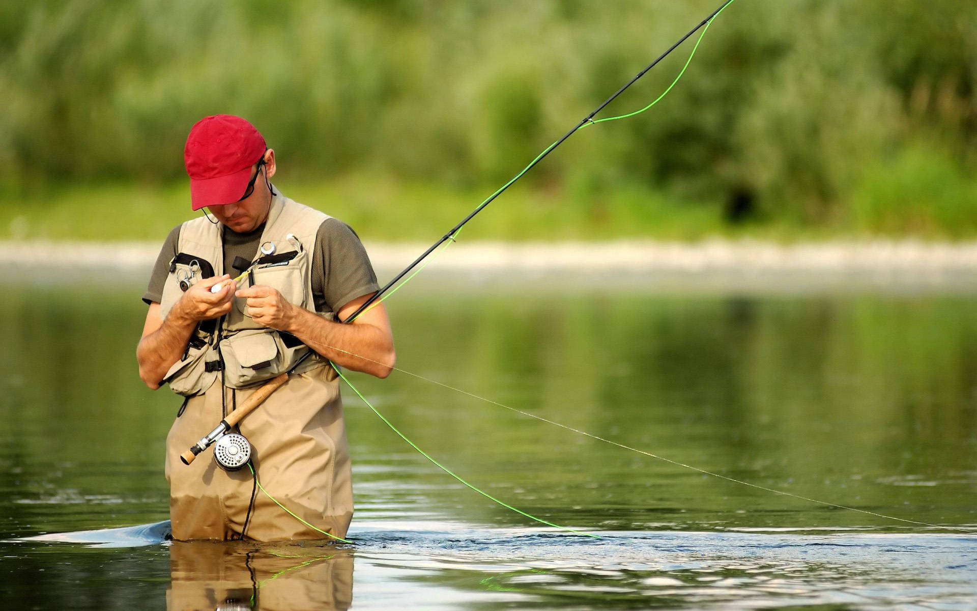 Bass Fishing 桌布 壁紙 — 一名戴著紅色帽子和穿著涉水褲的男子，站在平靜的河流中，水深及膝，正專注地仔細準備他的飛釣釣線。