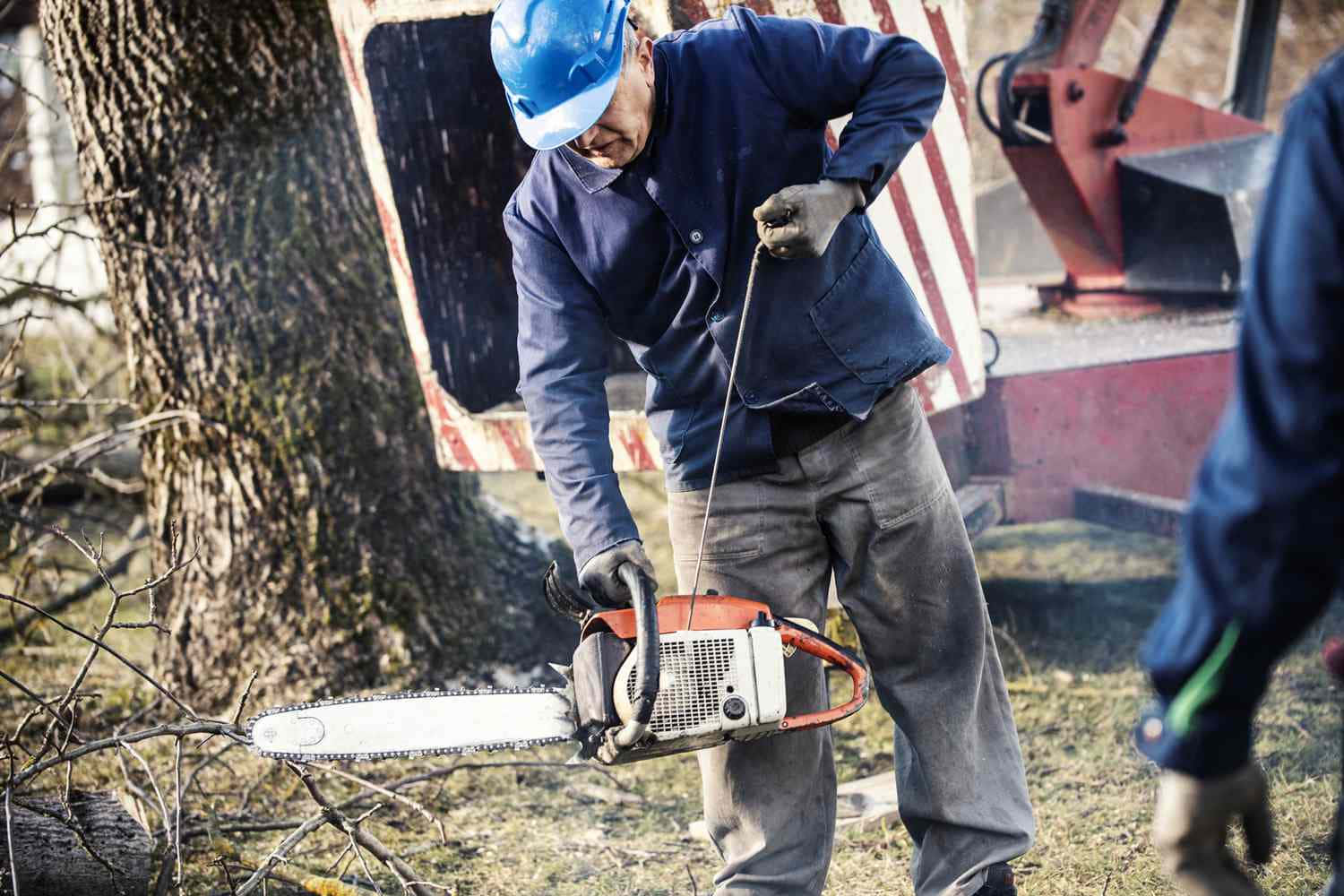 工具 桌布 壁紙 — 一名戴著藍色頭盔、身穿工作服的工人在樹林地區用鏈鋸切割一棵大樹幹。