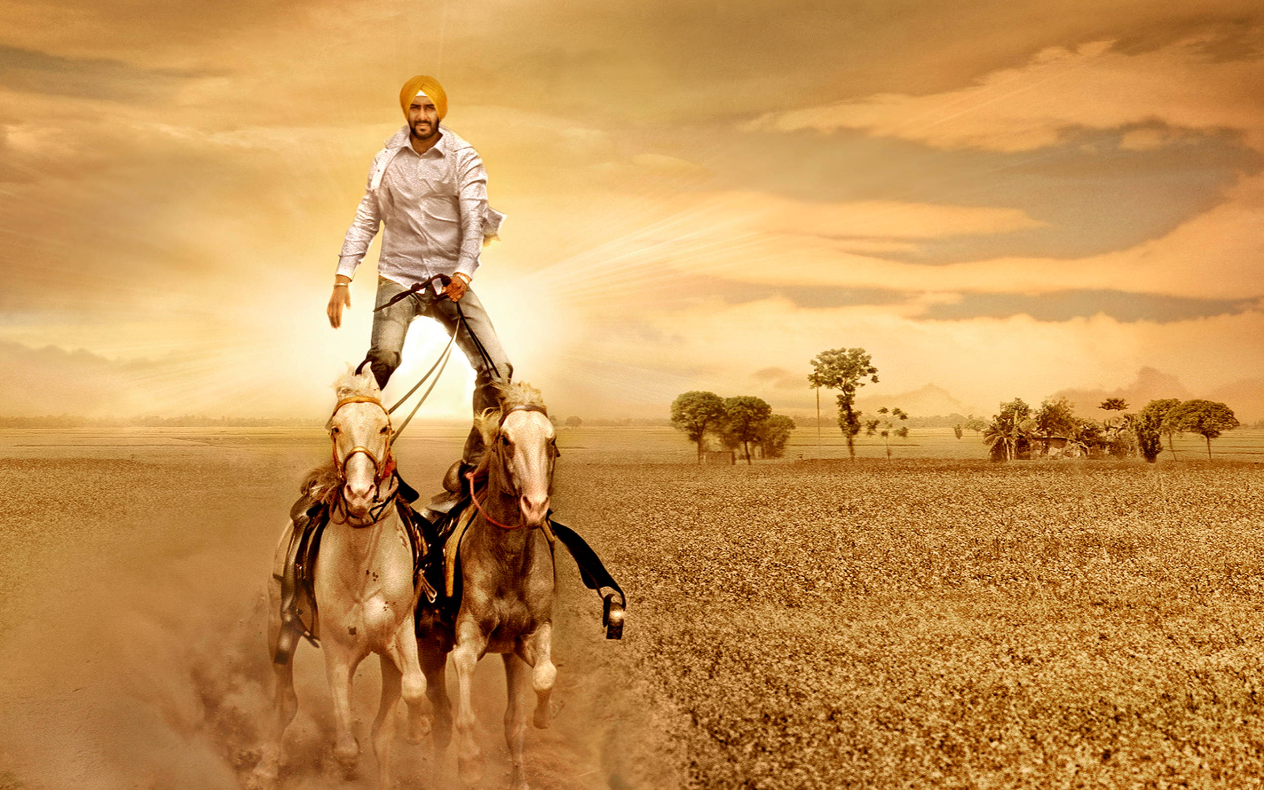 ajay devgn 桌布 壁紙 — 一名戴頭巾的男子騎著兩匹奔騰的馬，在溫暖的日落天空下穿越廣闊的金色田野。