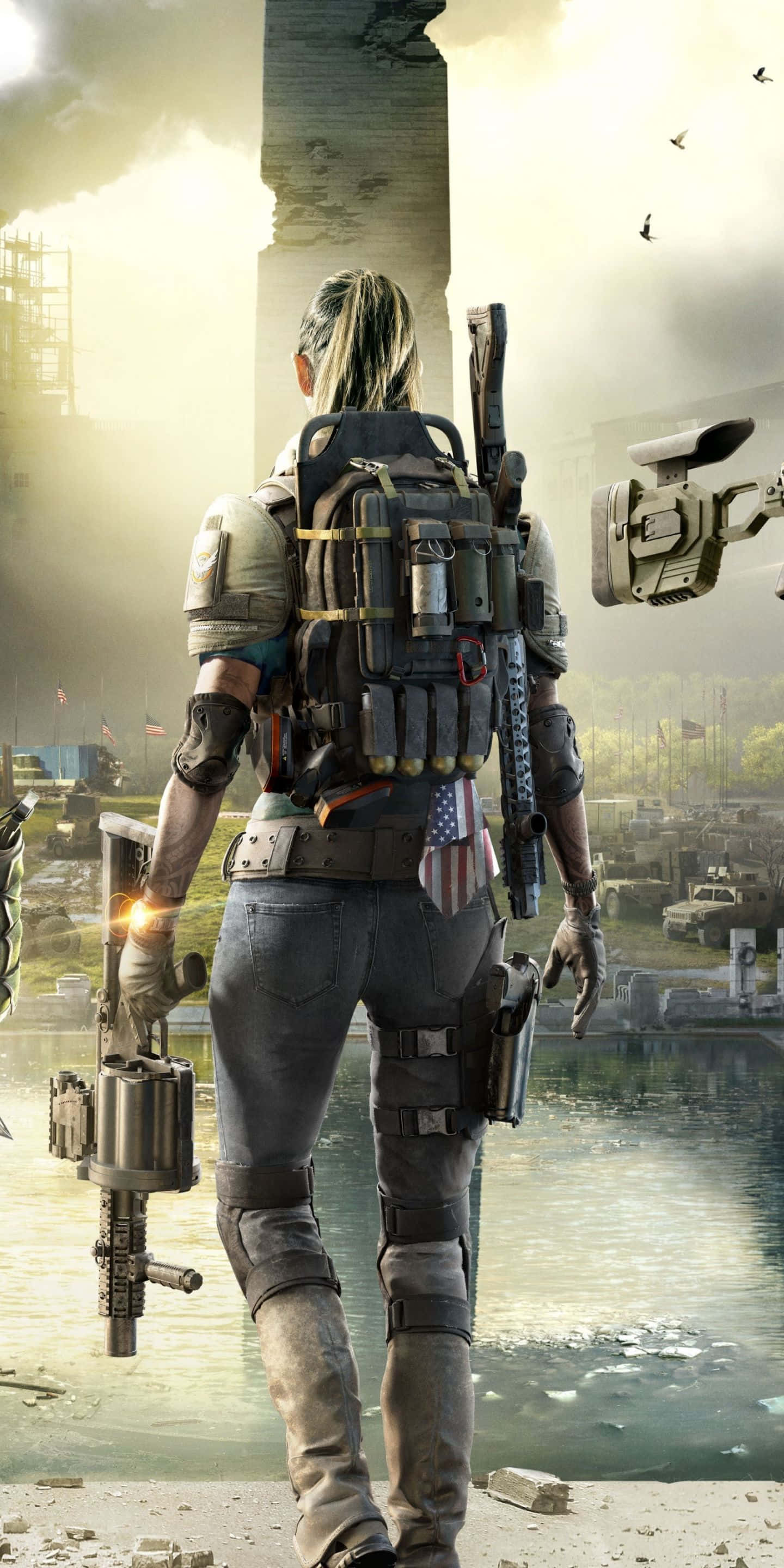 The Division 桌布 壁紙 — 一名手持步槍和裝備的士兵背光站在廢墟般的城市荒地中，頭頂有煙霧和鳥類。