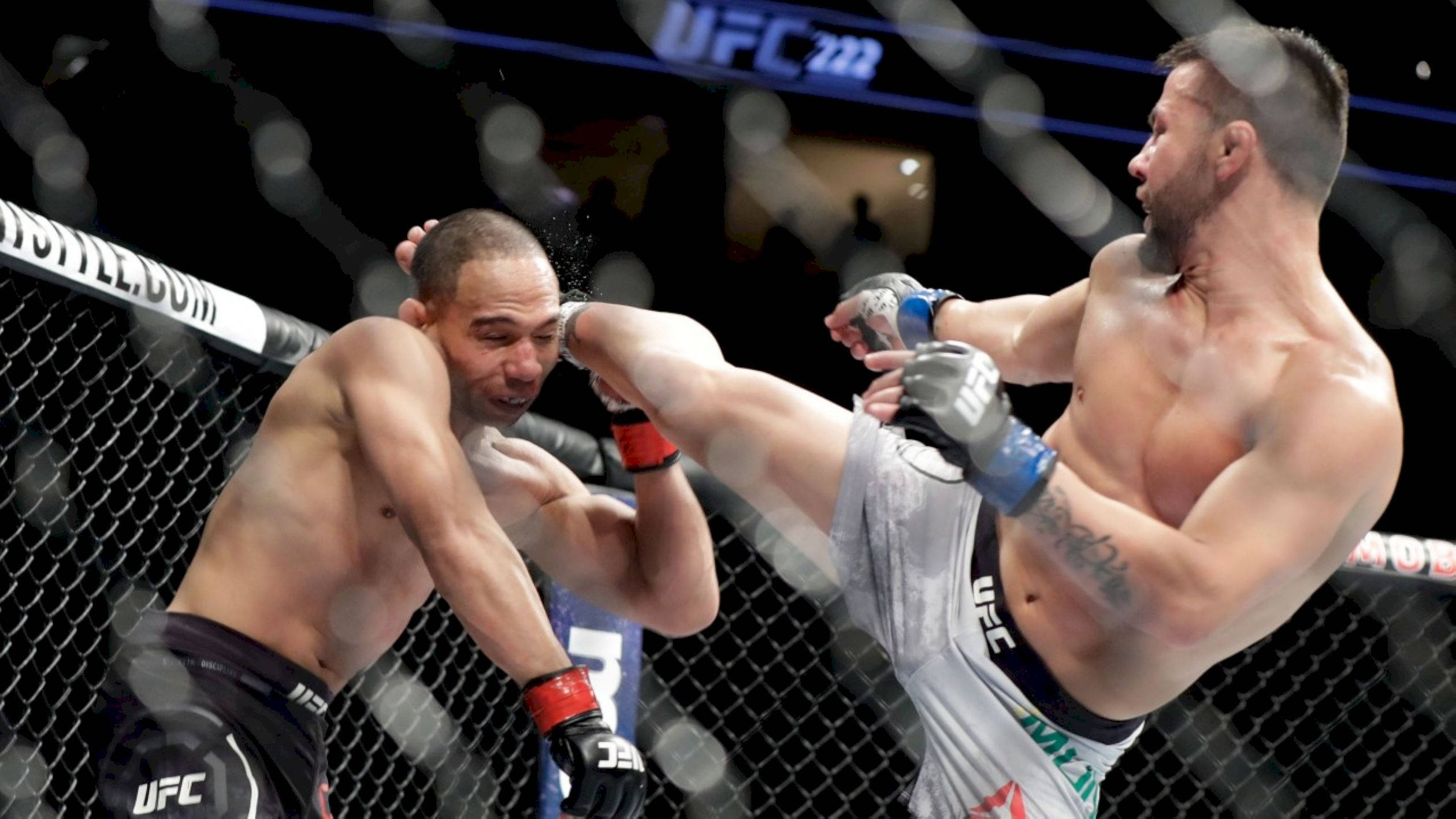 Fight 桌布 壁紙 — 一名拳手在UFC八角籠中向對手使出高踢，進行一場高能量的混合武術比賽。