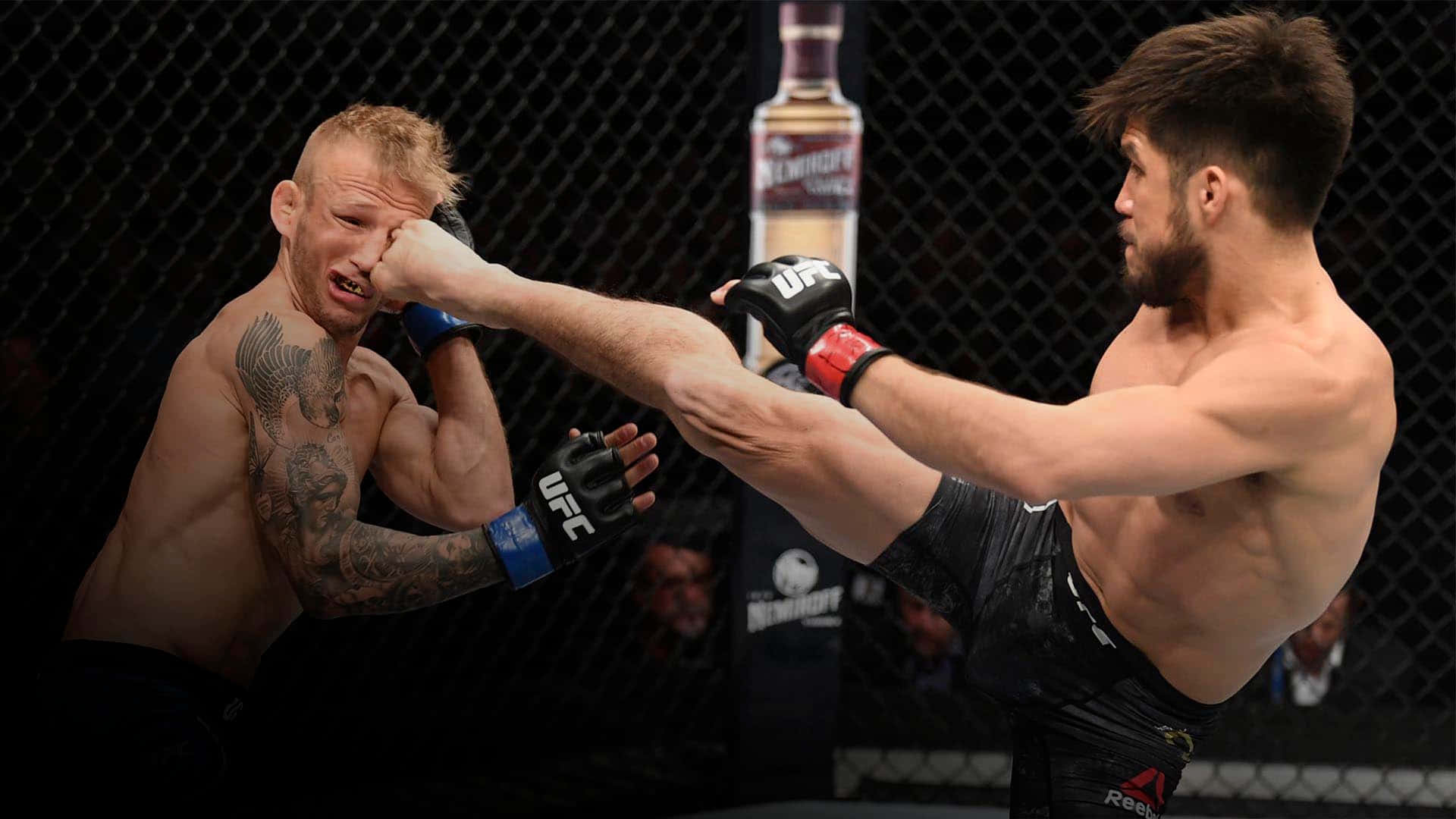 UFC 桌布 壁紙 — 一名拳手在UFC八角籠內向對手面部使出強力高踢。