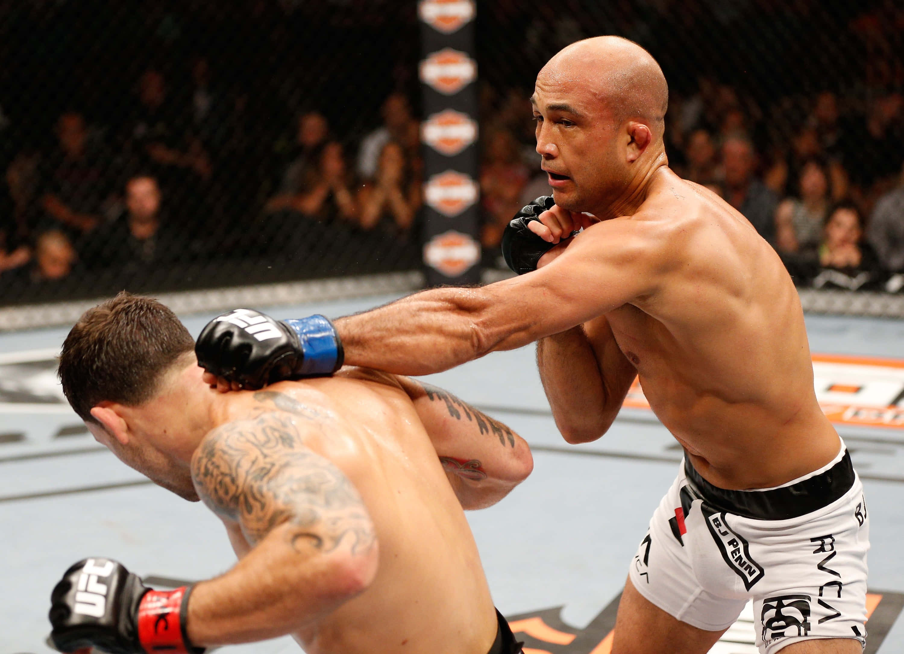 MMA 桌布 壁紙 — 一名拳手在明亮的場館燈光下，於UFC八角籠內向對手頭部施以強力肘擊。