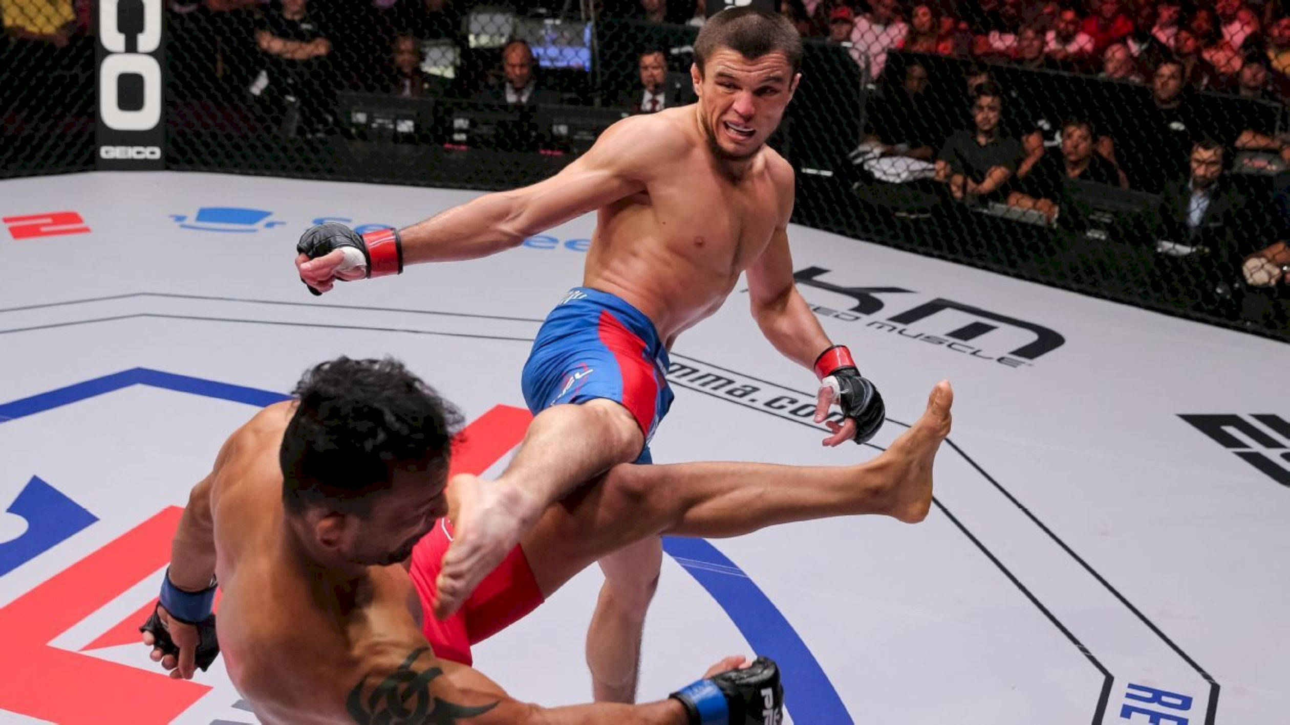 MMA 桌布 壁紙 — 一名拳手在燈火通明的MMA八角籠中，在咆哮的觀眾面前向對手踢出一記高踢。