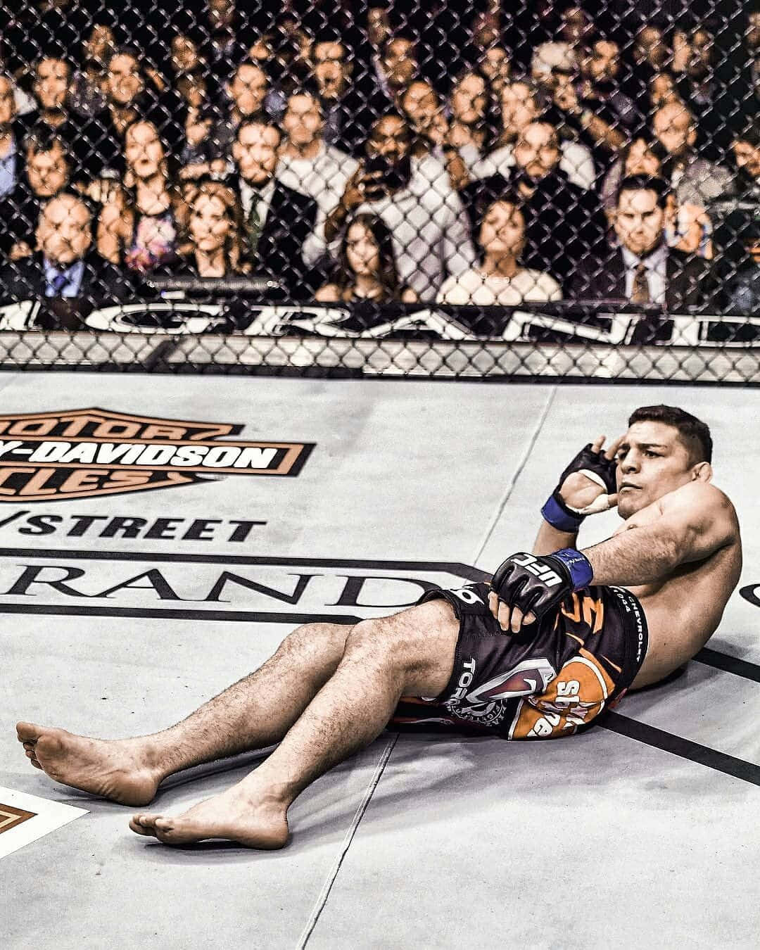 UFC 桌布 壁紙 — 一名拳手筋疲力竭地躺在八角籠地上，觀眾透過鐵絲網觀看。
