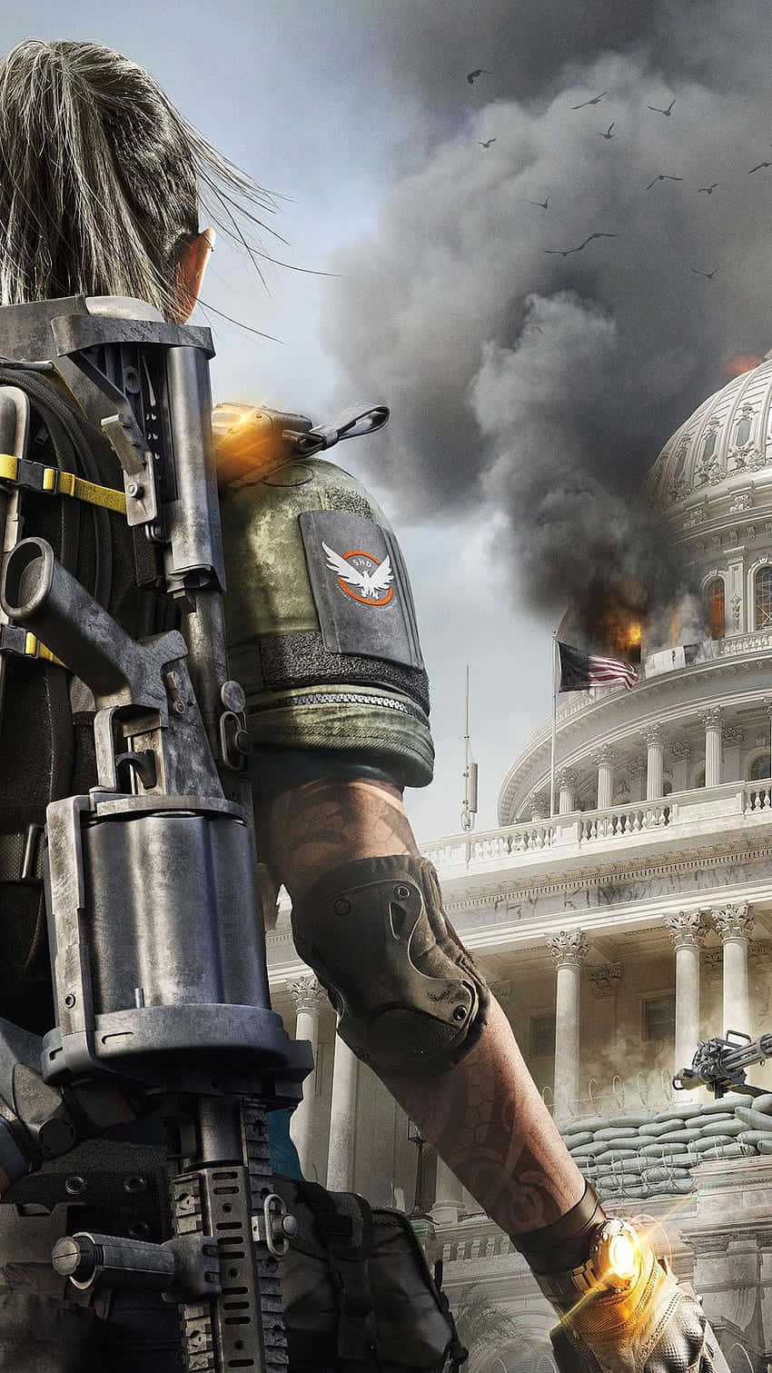 The Division 桌布 壁紙 — 一名持步槍的士兵站在燃燒的國會大廈前，天空煙霧瀰漫，鳥兒在頭頂飛翔。