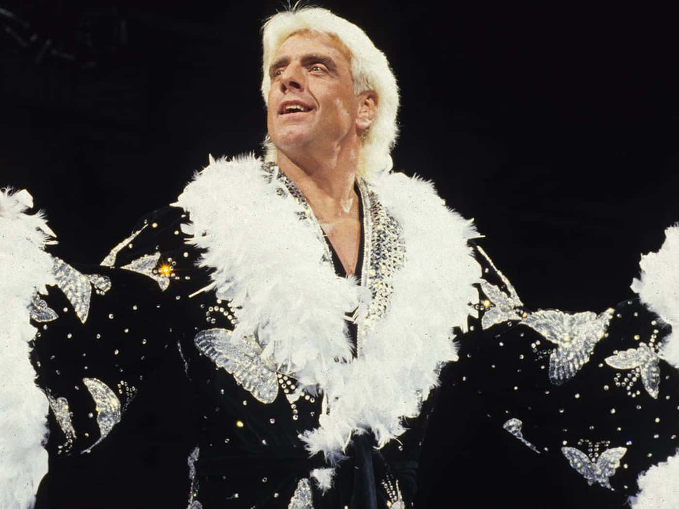 WWE 桌布 壁紙 — 一名摔角手身穿黑色亮片外套，飾有白色羽毛邊和蝴蝶裝飾，在深色背景下擺出戲劇性的姿勢。