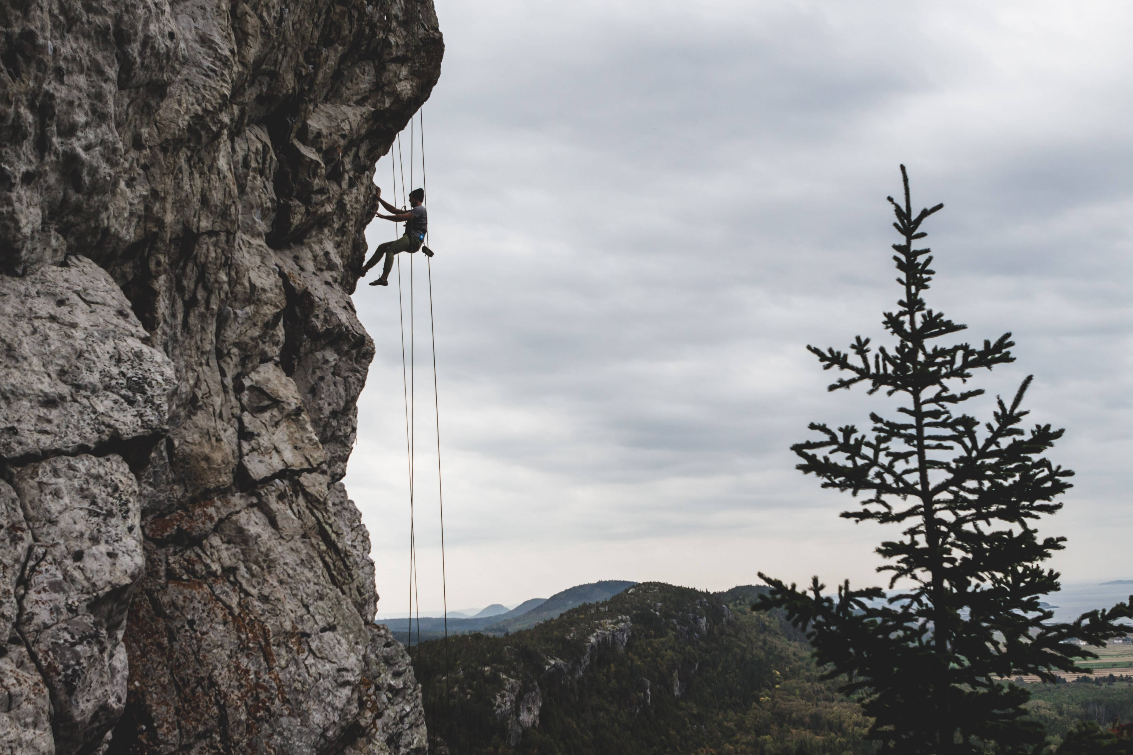 Climbing 桌布 壁紙 — 一名攀岩者在多雲的天空背景下，沿著崎嶇的懸崖面下降，前景有一棵孤獨的松樹。
