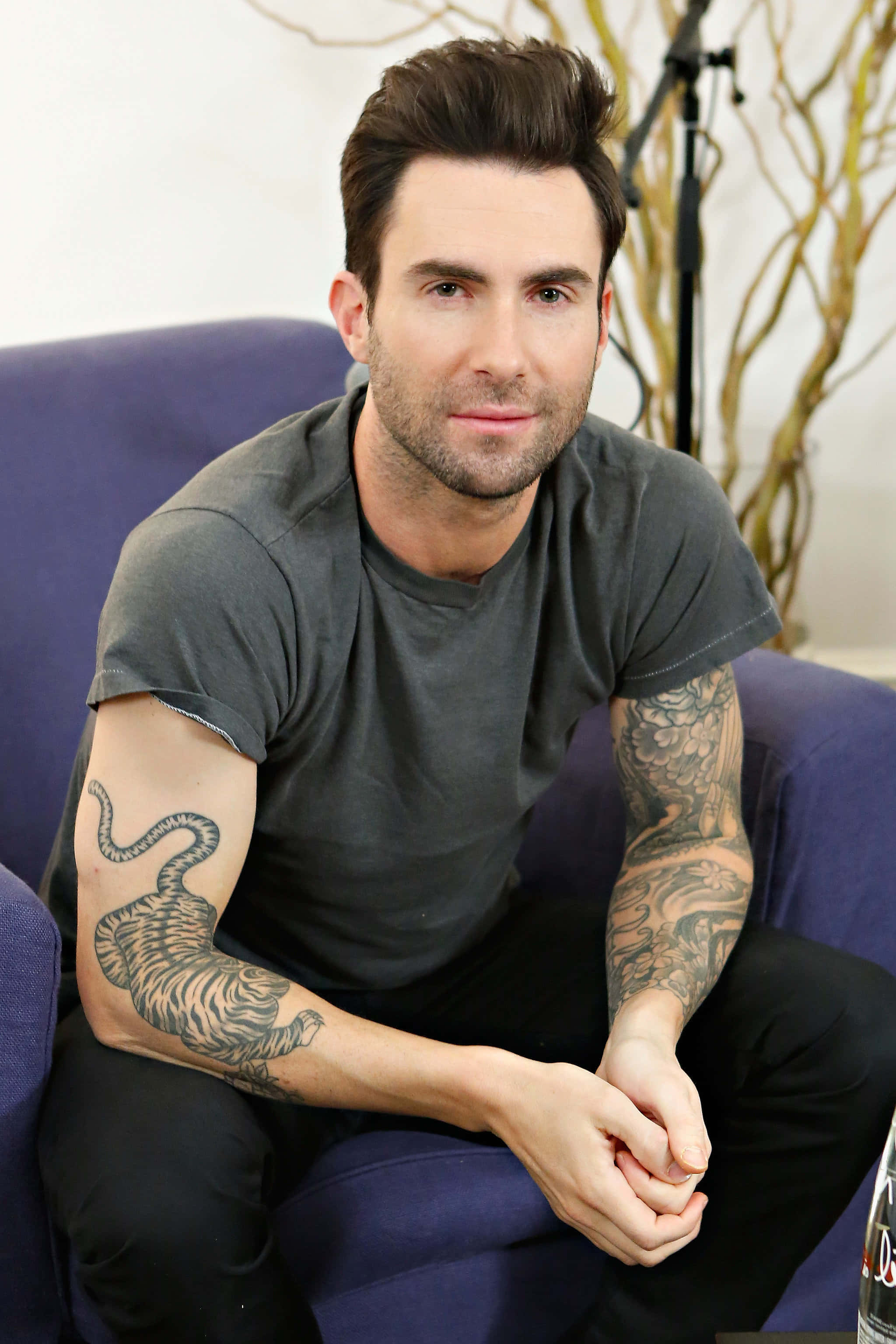 Adam Levine 桌布 壁紙 — 一名有刺青的男子平靜地坐在光線柔和的室內藍色沙發上。